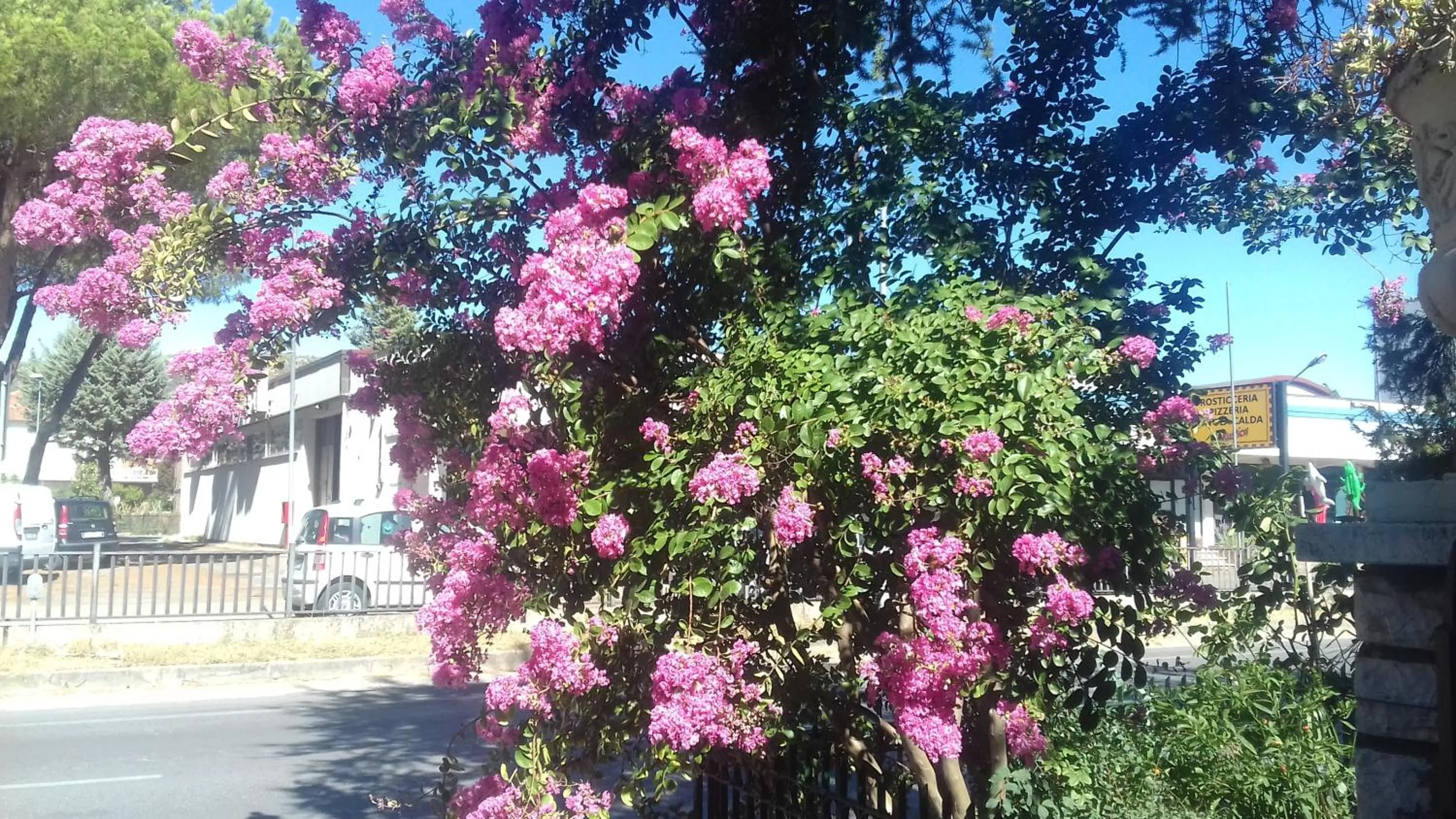 Other in La Casetta Dei Cedri