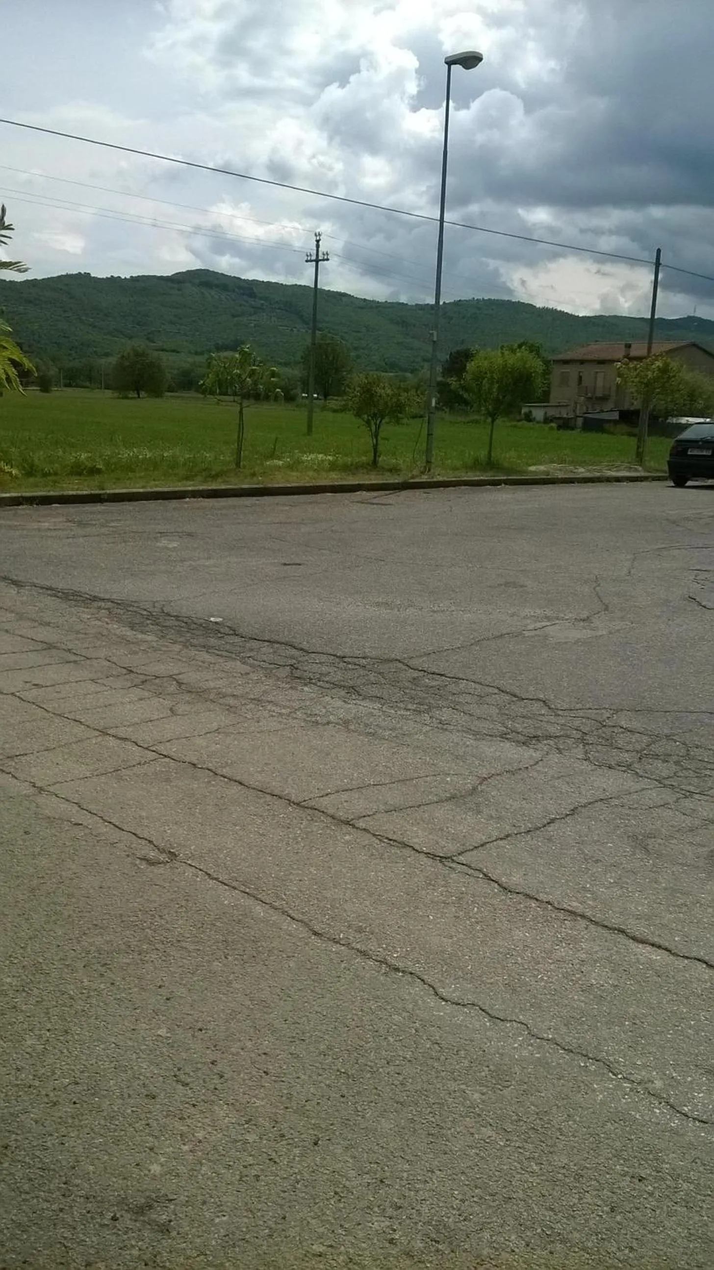 View (from property/room) in La Casetta Dei Cedri