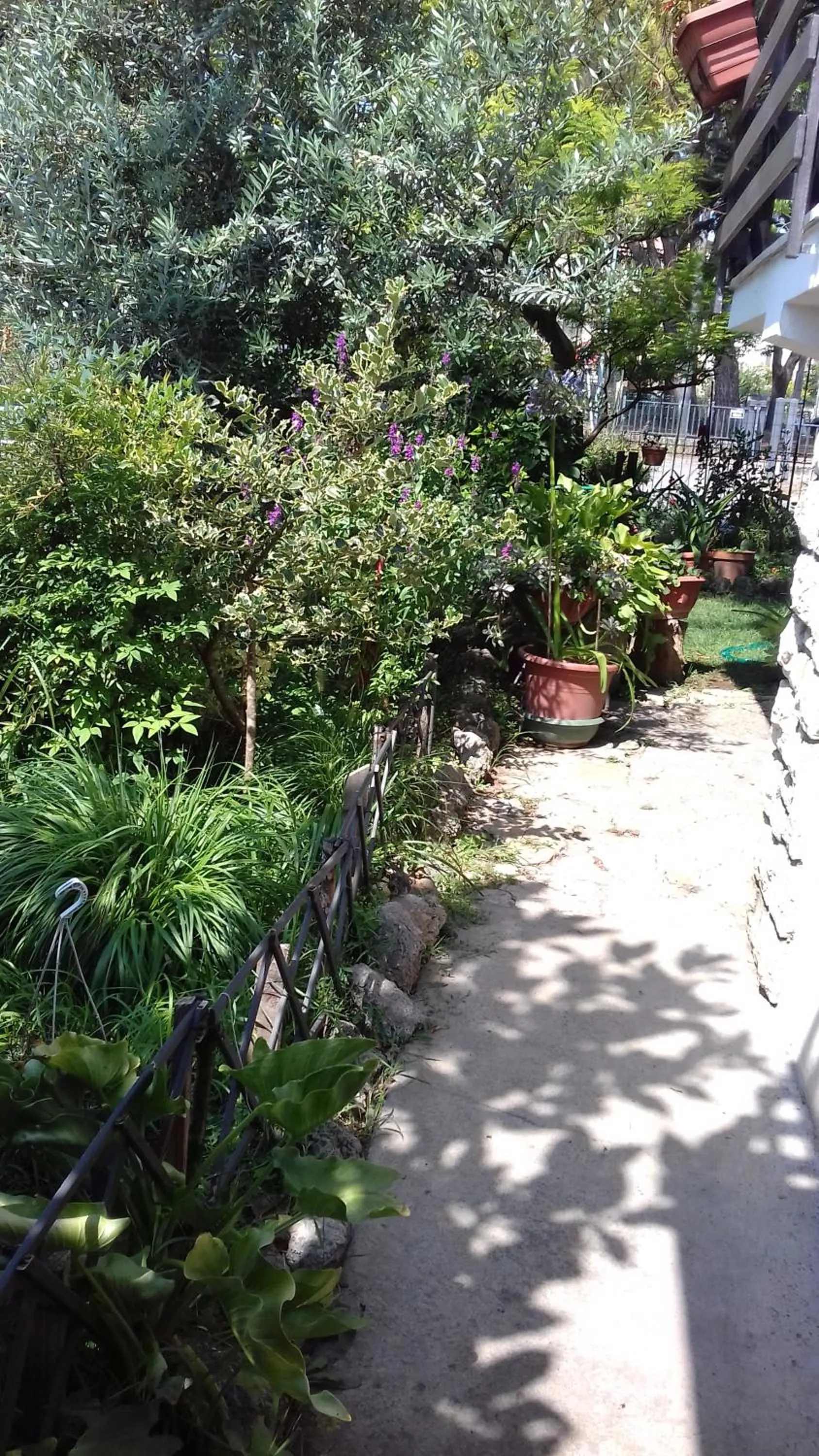 La Casetta Dei Cedri