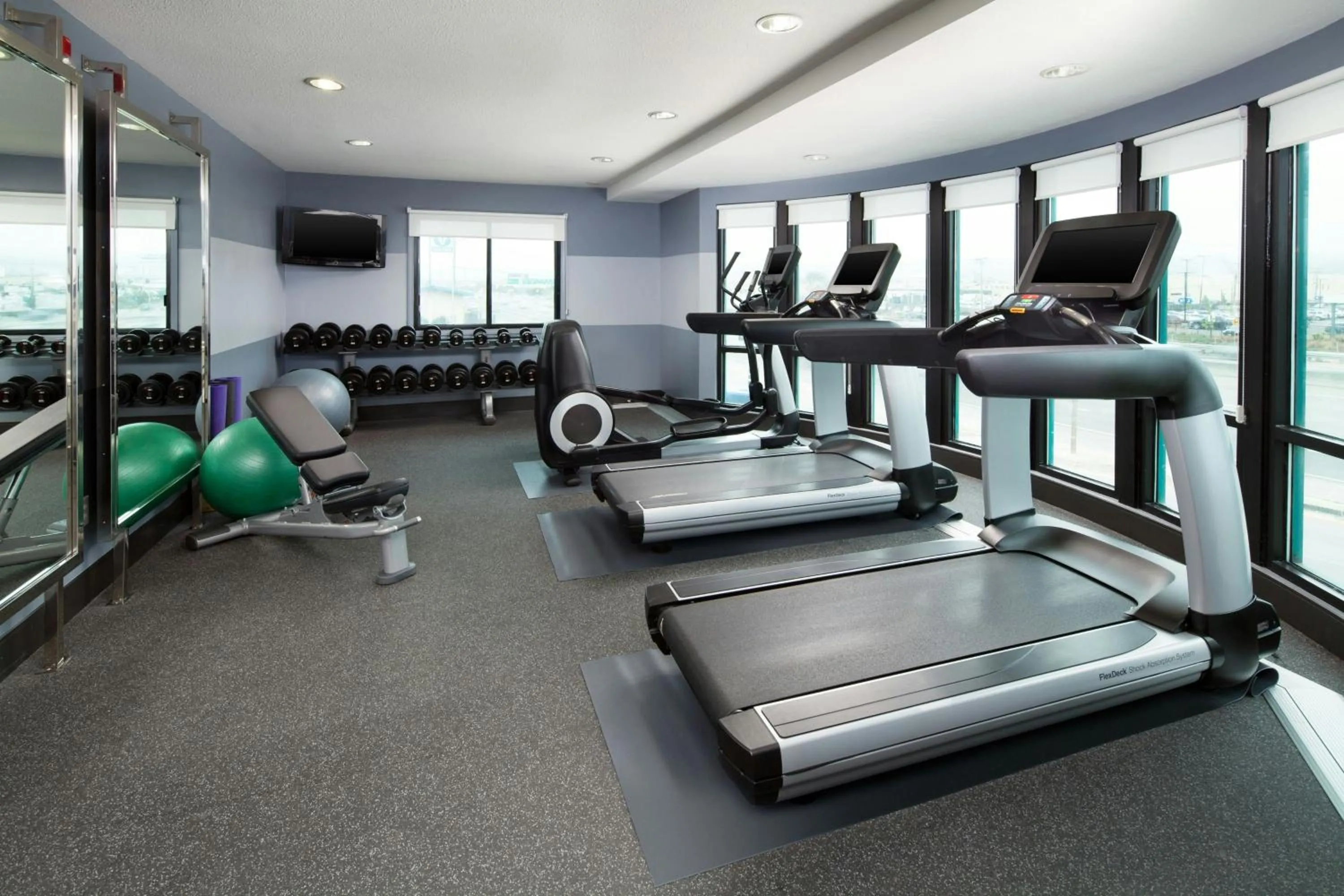 Fitness centre/facilities in Four Points by Sheraton - San Francisco Airport