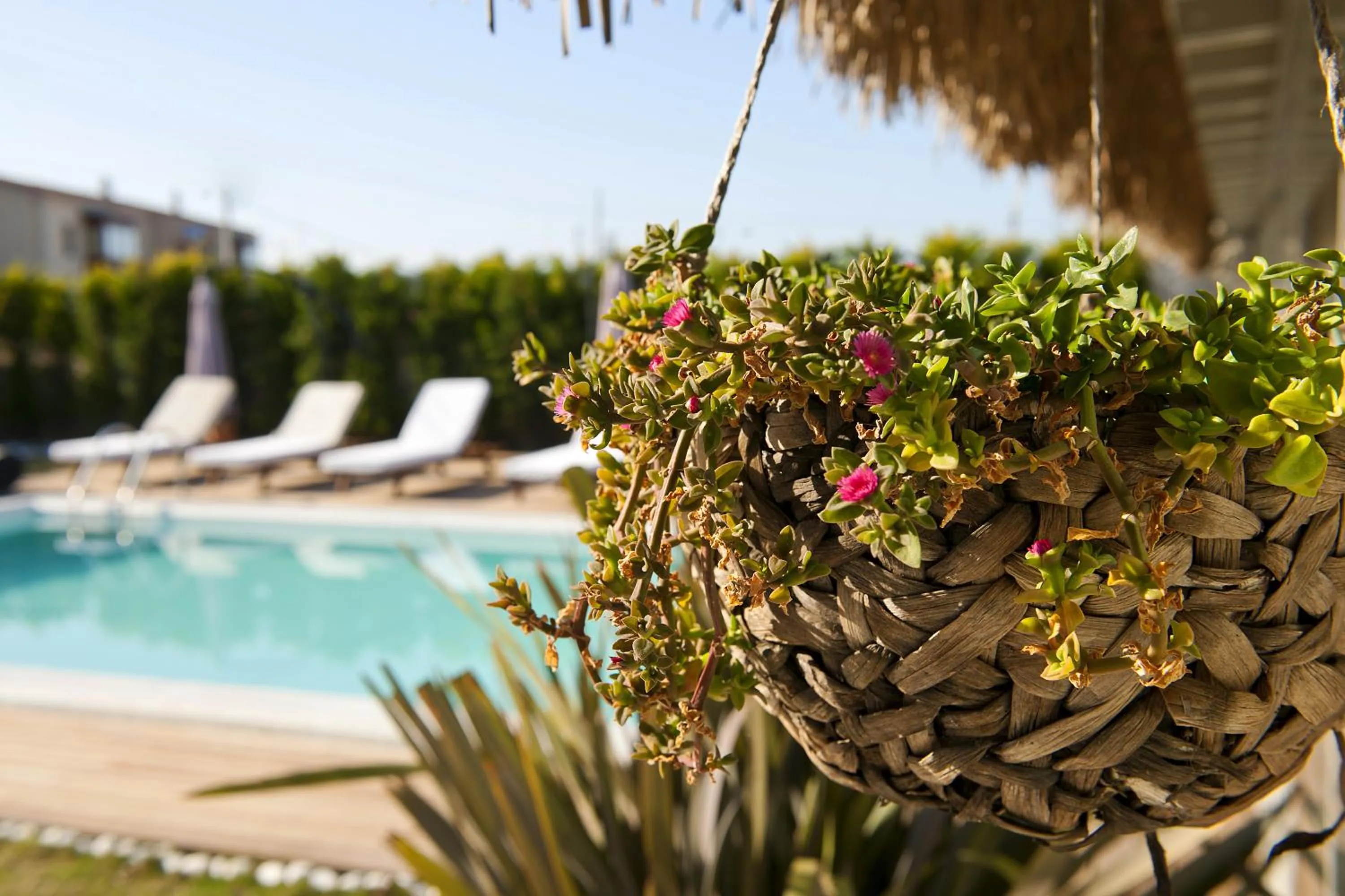 Pool view in Sade Alacati Hotel