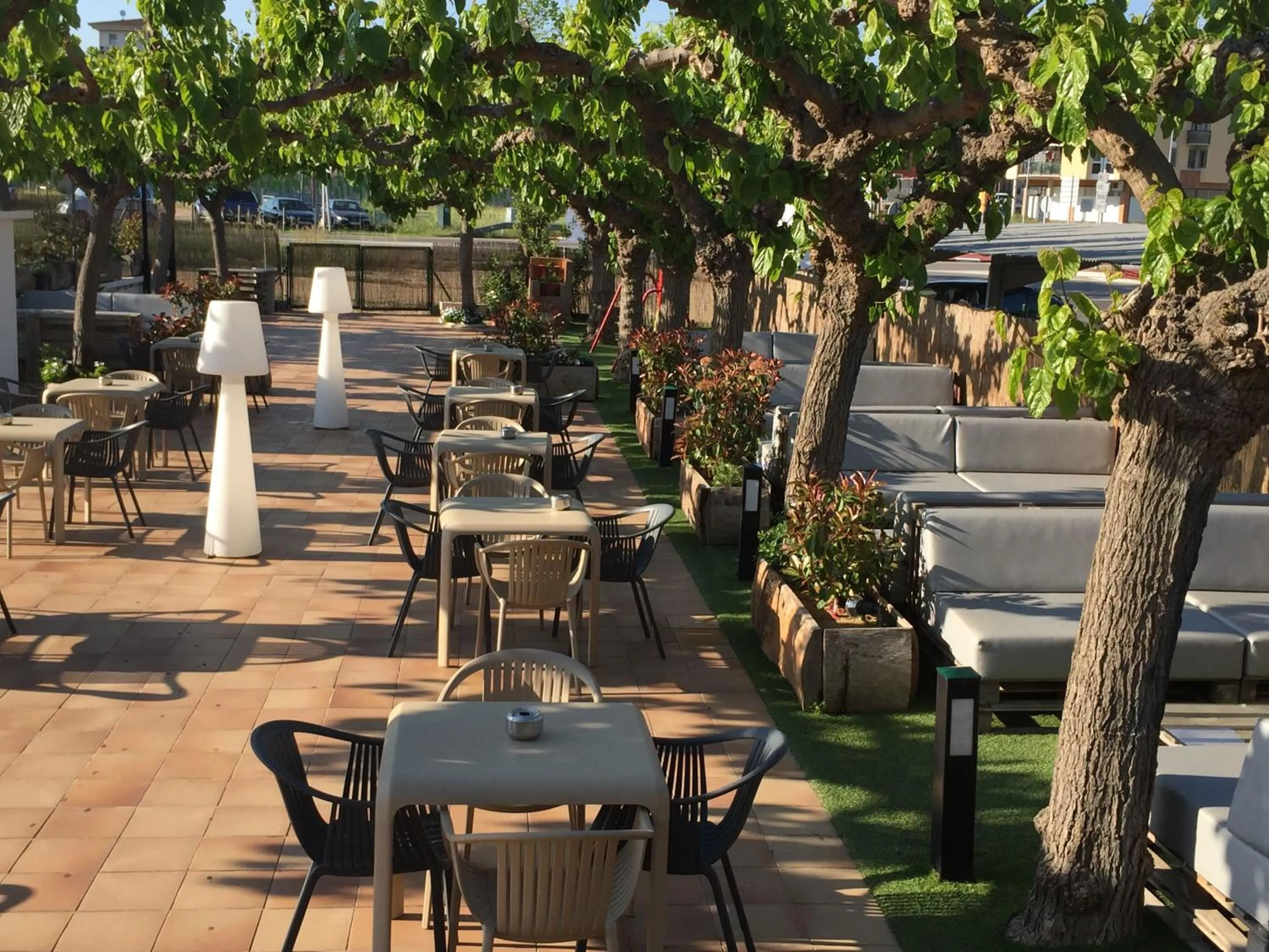 Garden in Hostal SolFina