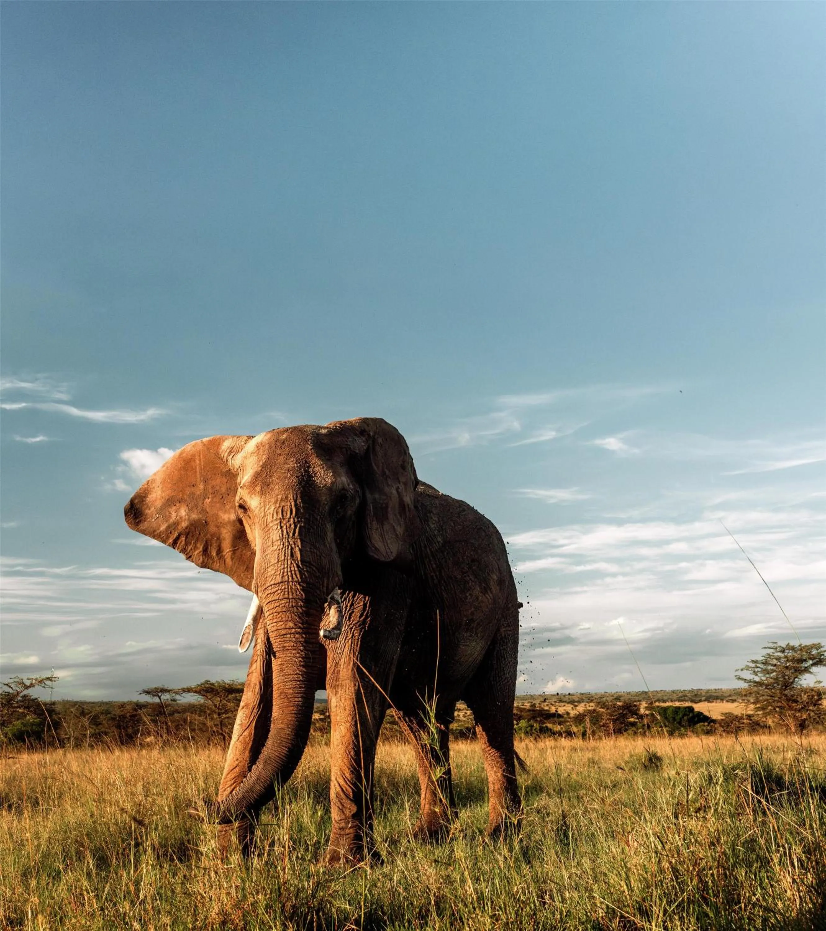 Other in Olare Mara Kempinski