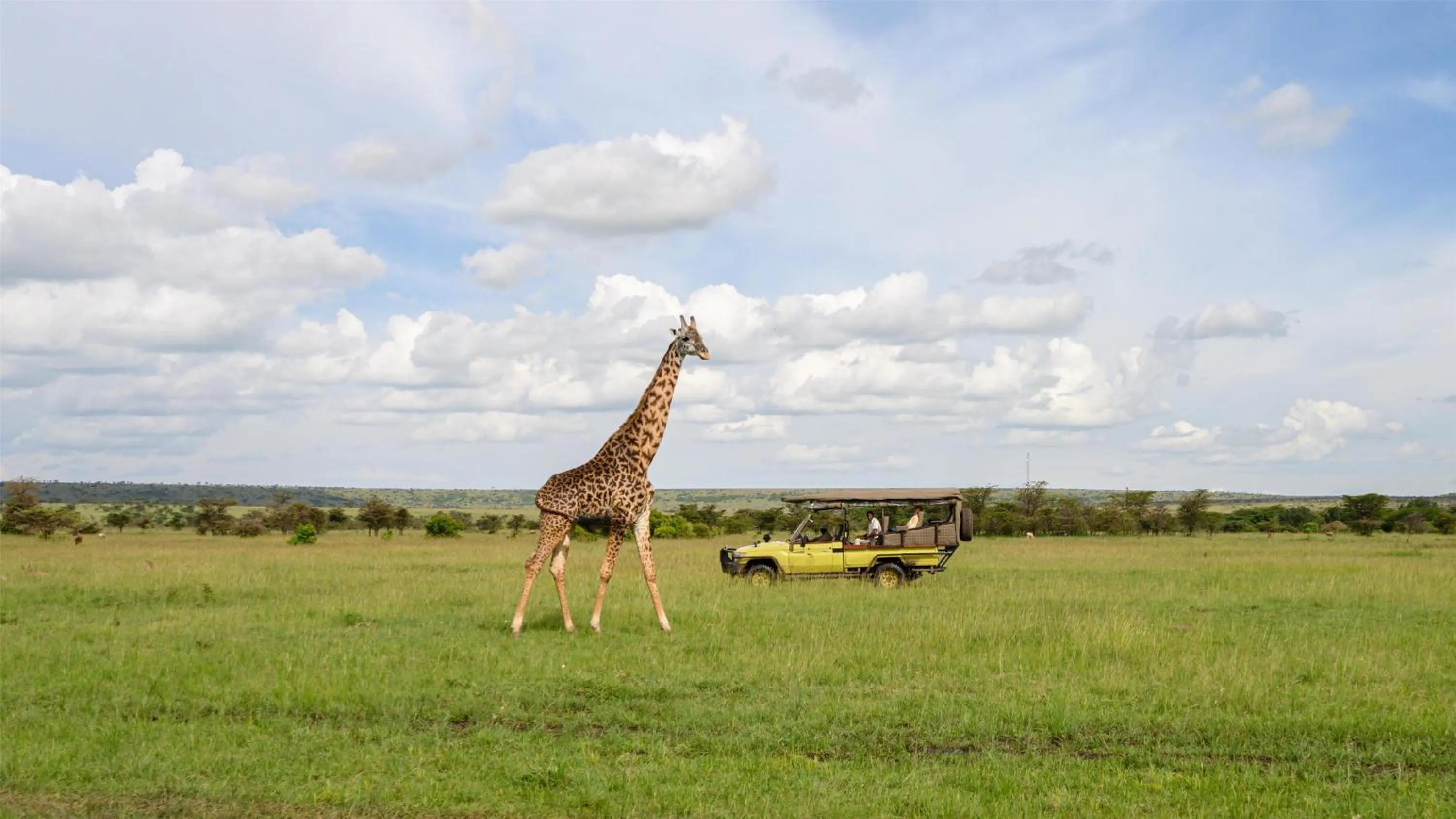 Other in Olare Mara Kempinski