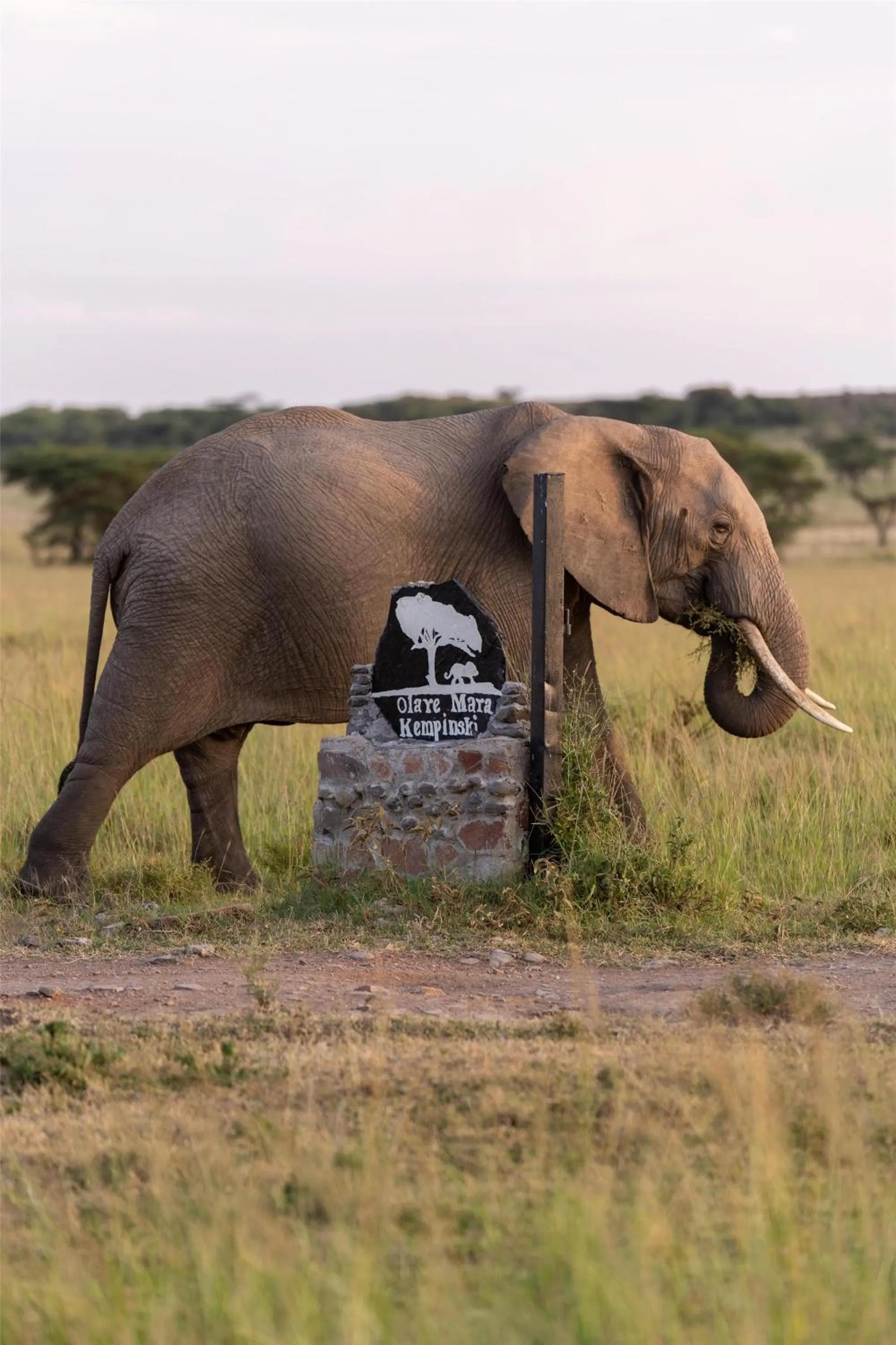 Other in Olare Mara Kempinski