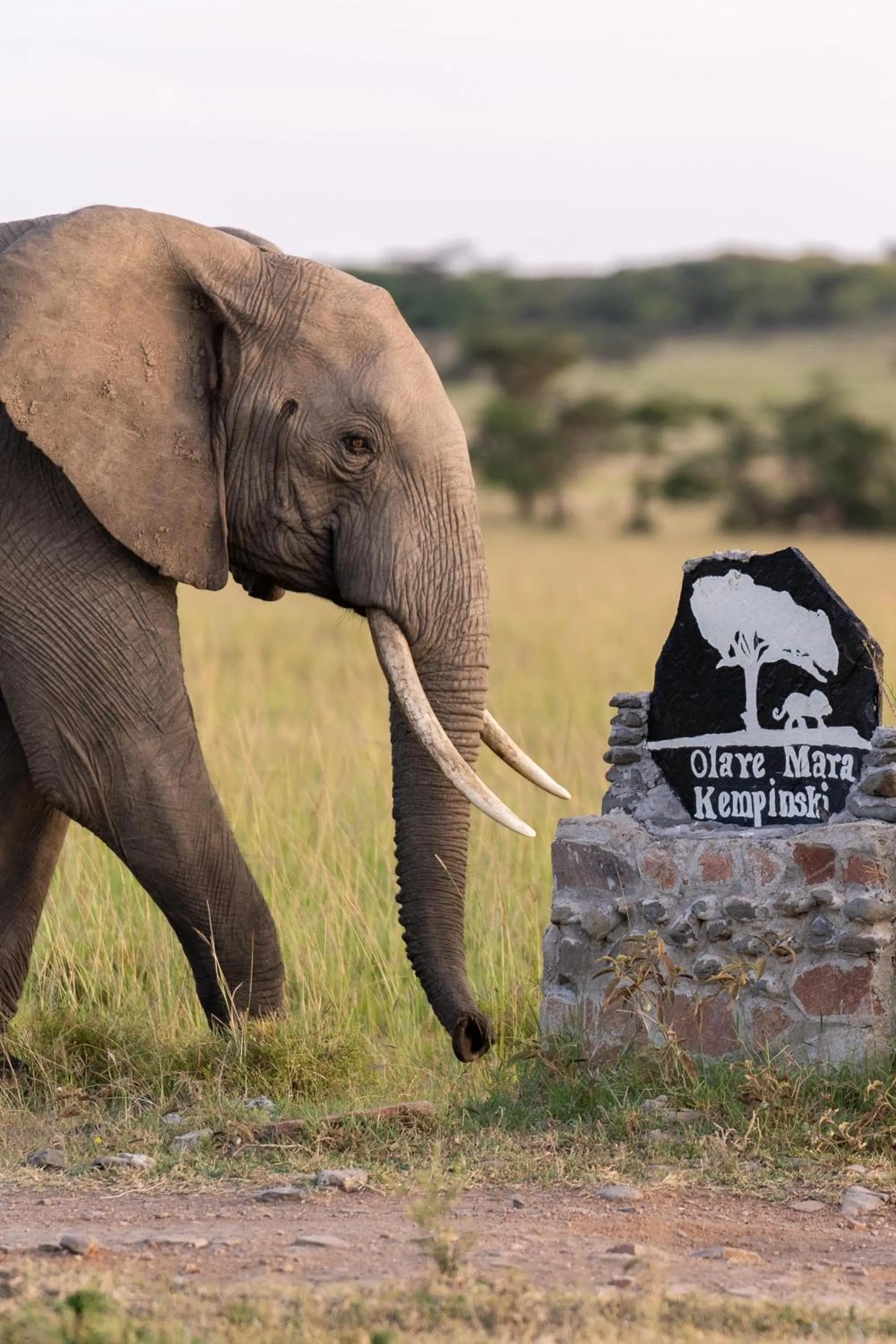 Other in Olare Mara Kempinski