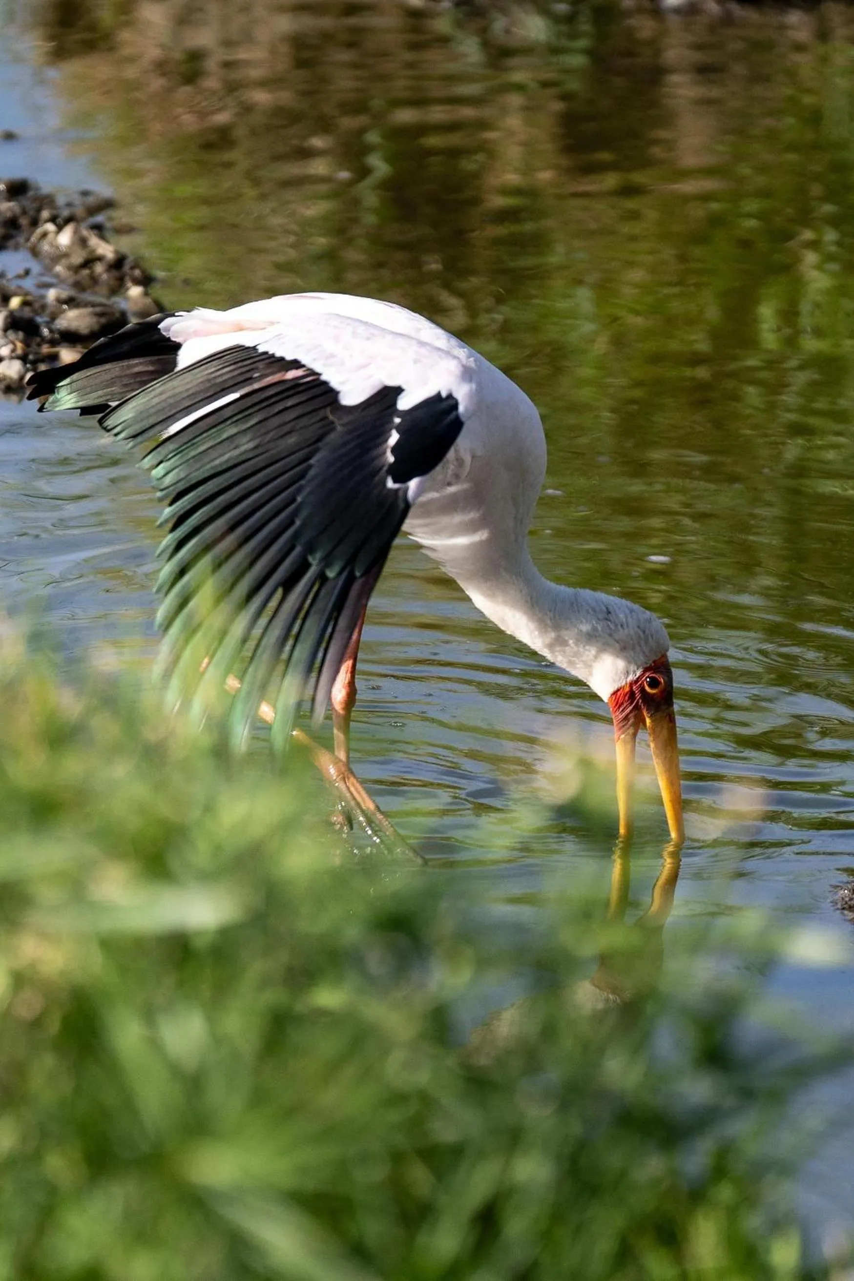 Other in Olare Mara Kempinski