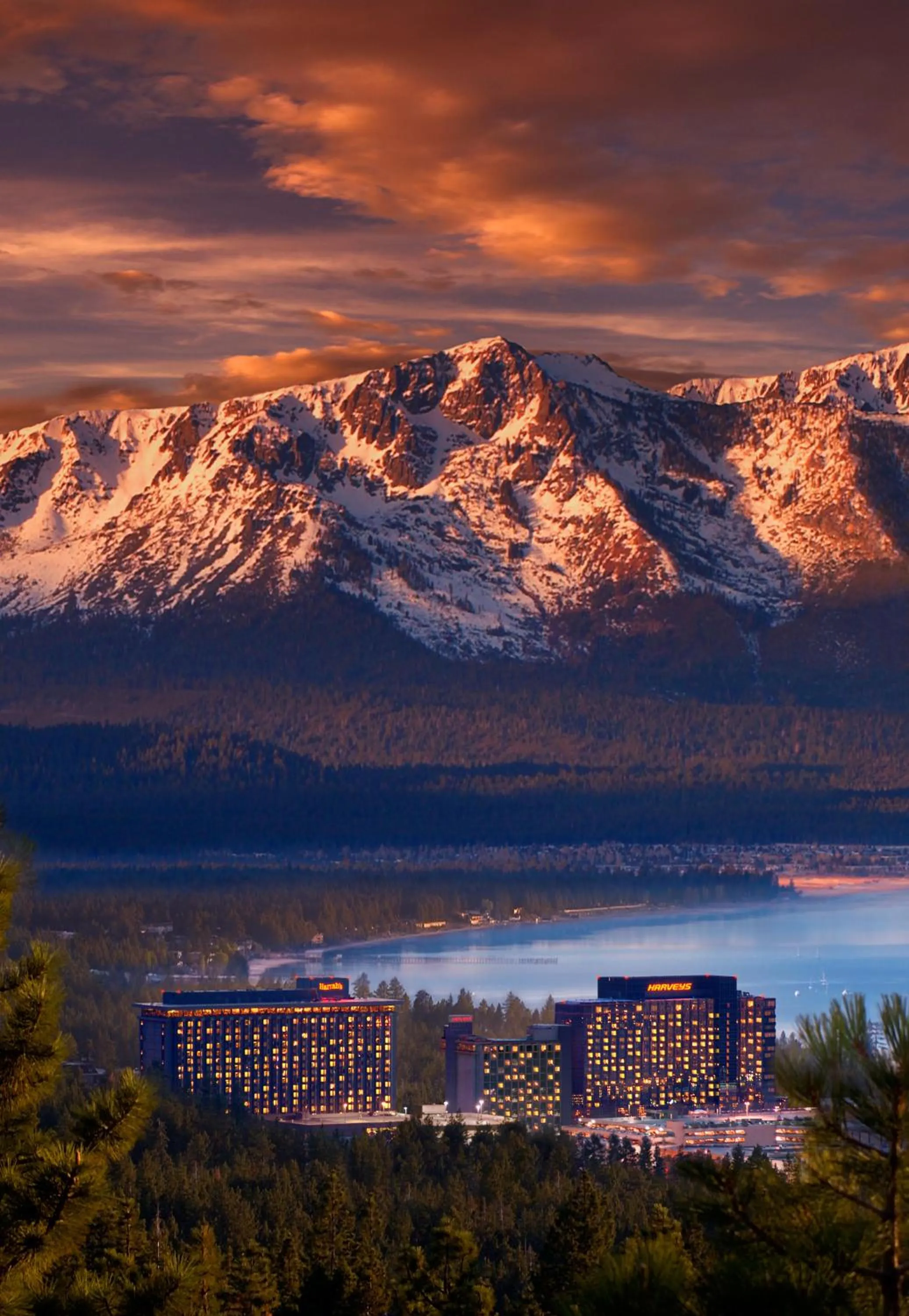 Natural landscape in Harrah's Lake Tahoe, A Caesars Destination
