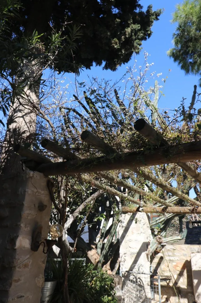 Garden view in Ha La Bodrum