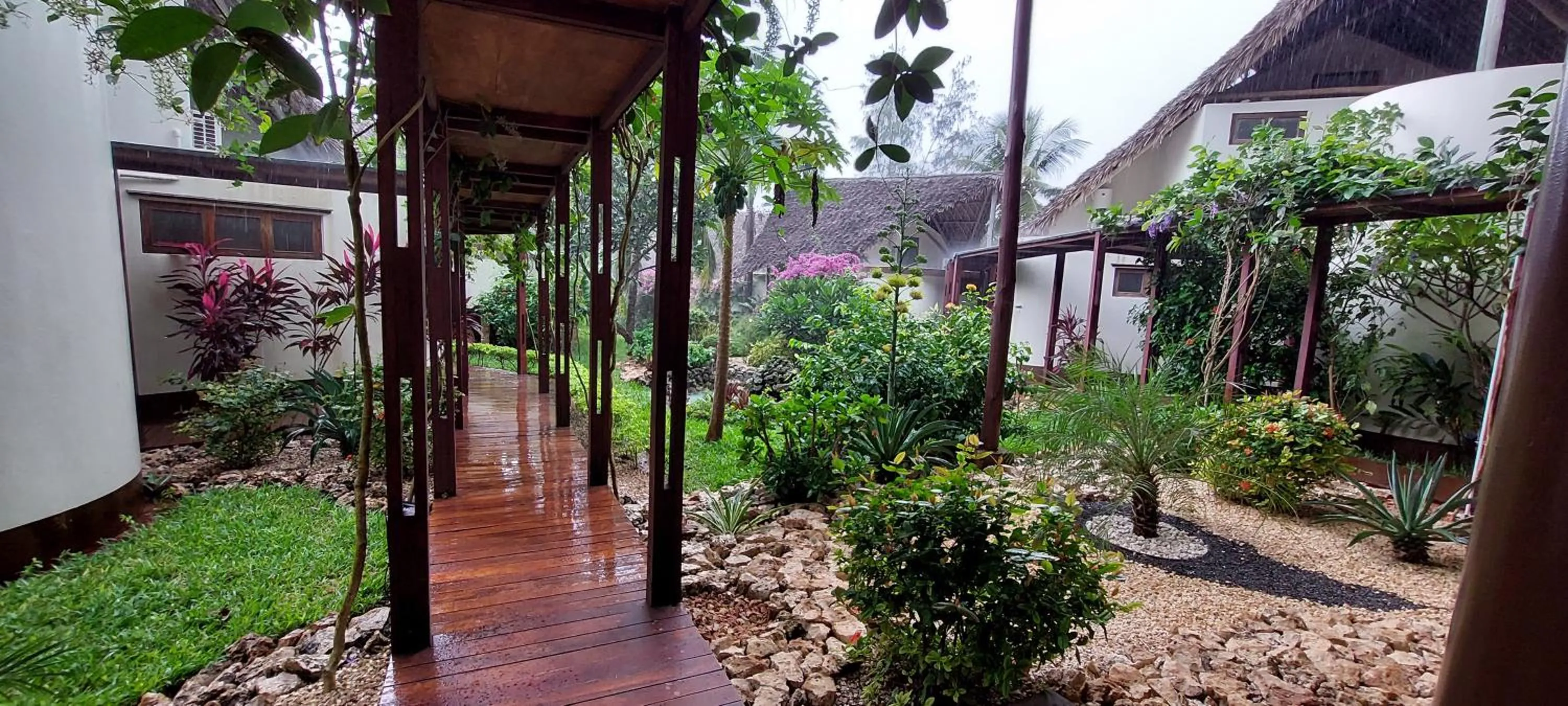 Garden view in Kena Beach Hotel