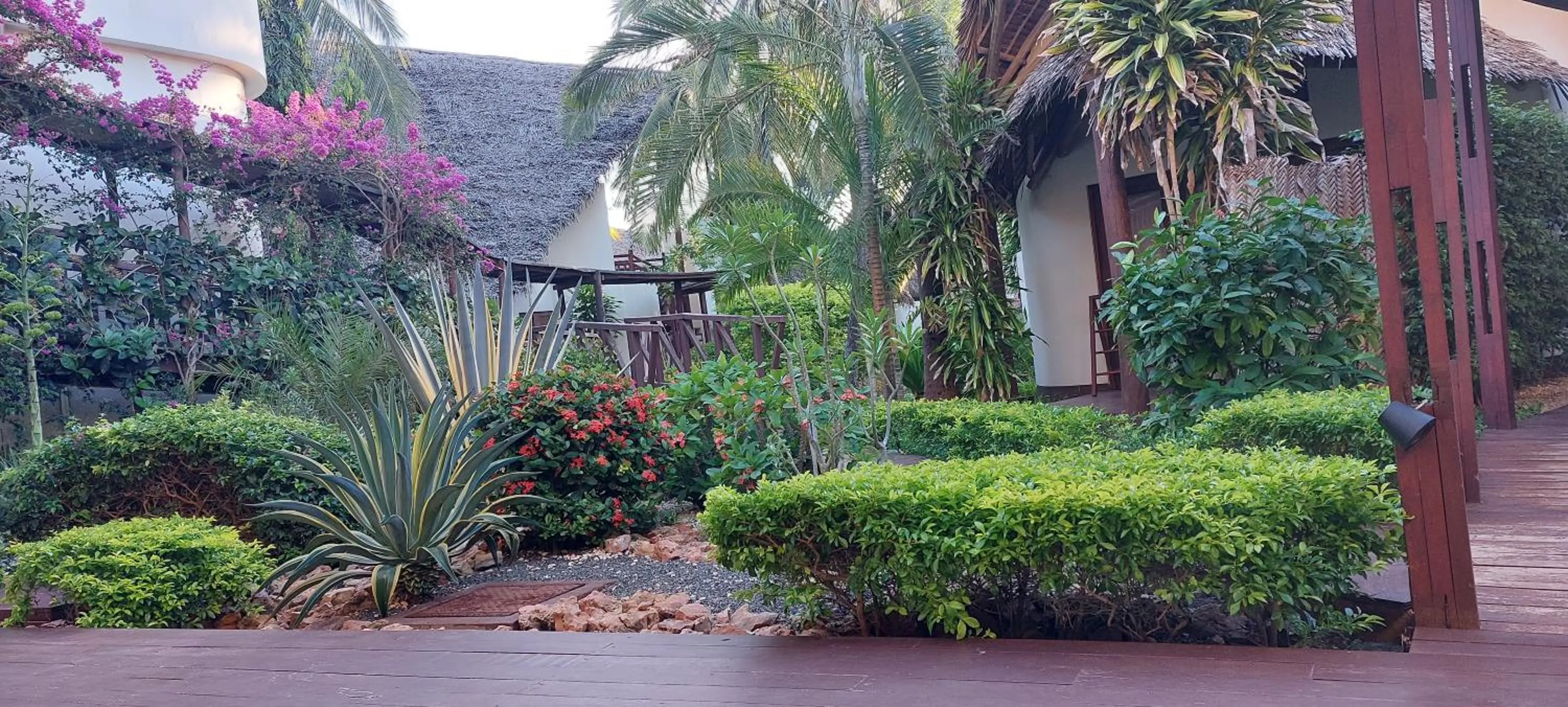 Garden in Kena Beach Hotel