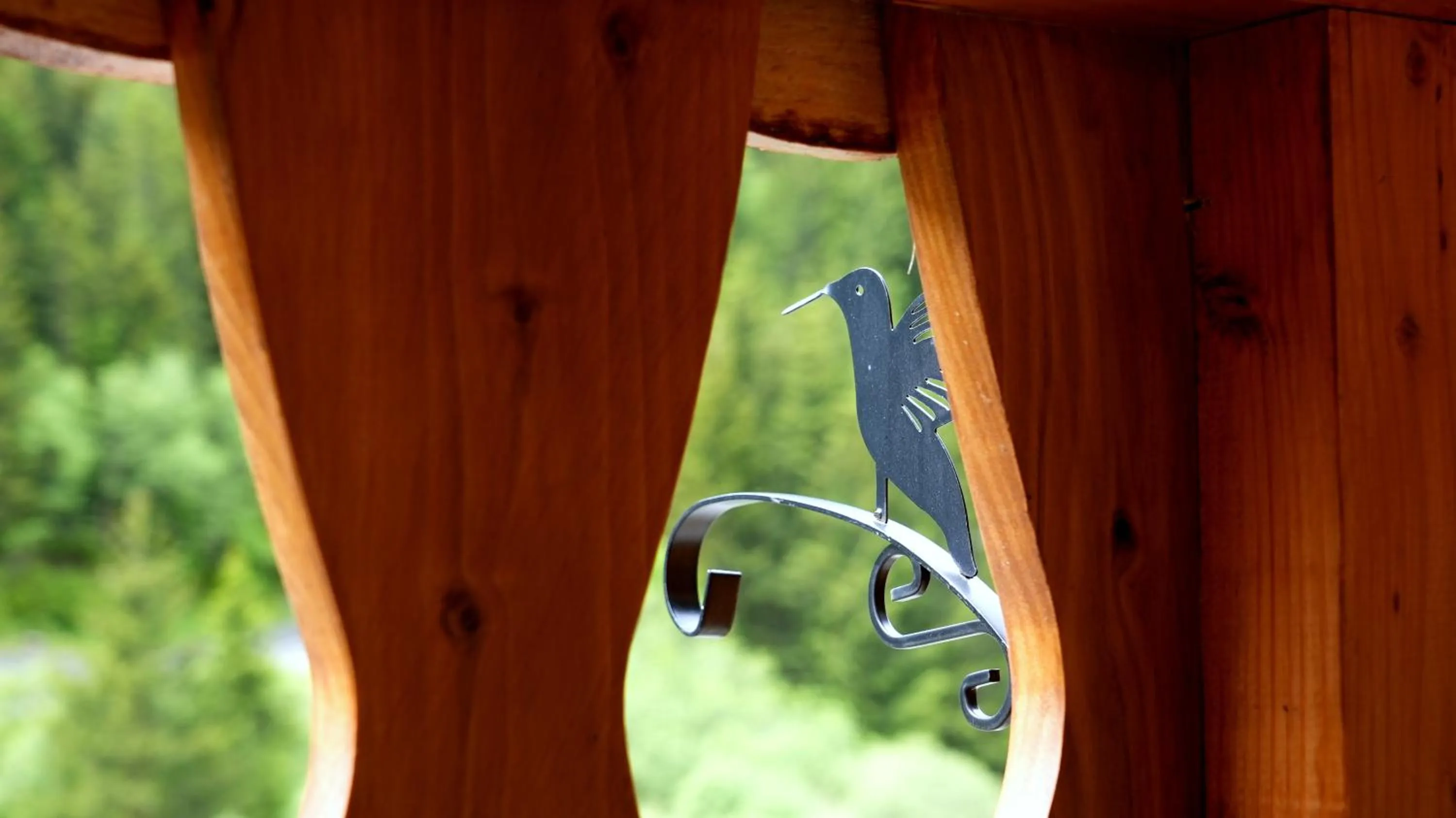 Day in La Sapinière St Lary Soulan