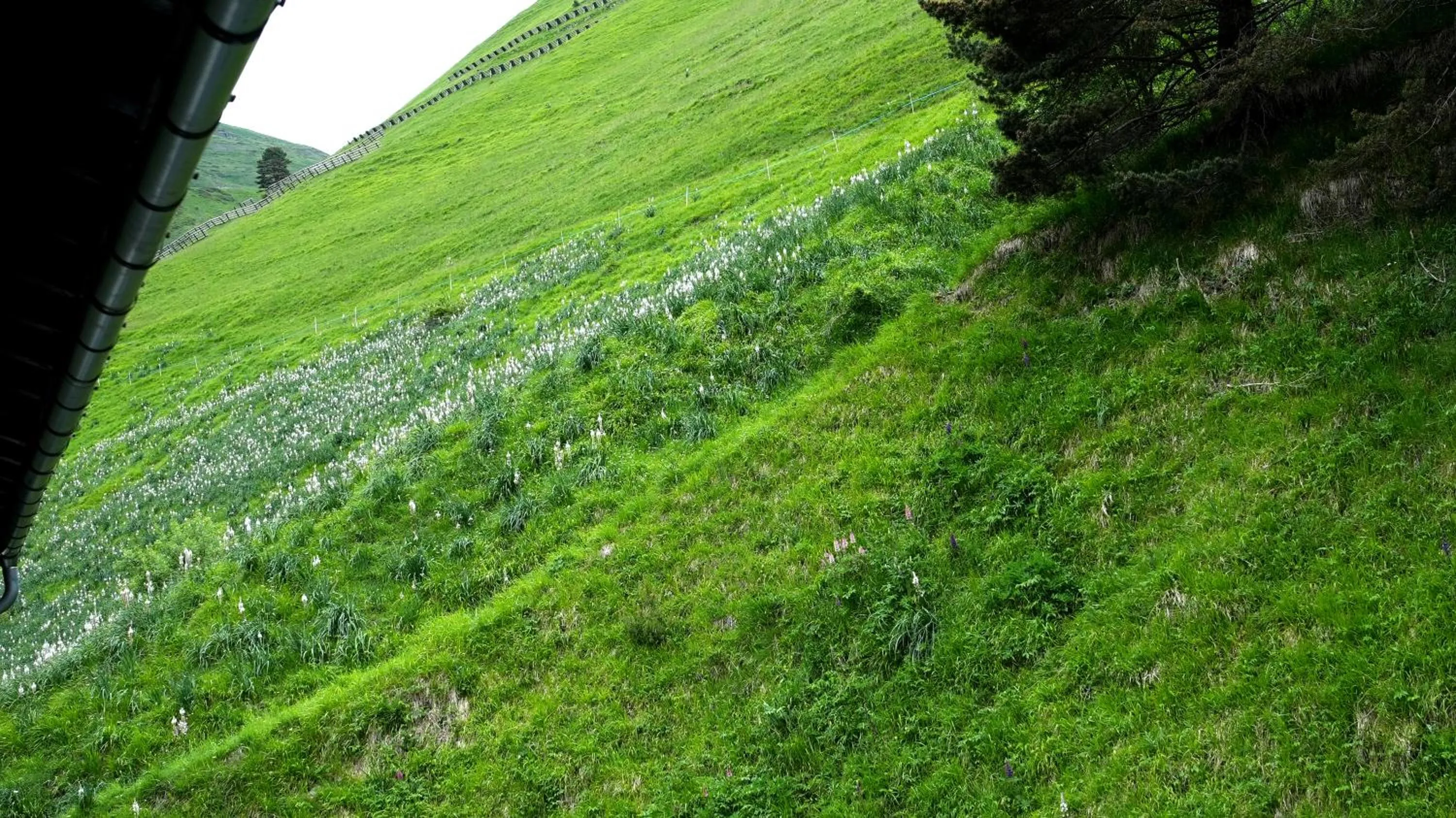 Double Room in La Sapinière St Lary Soulan