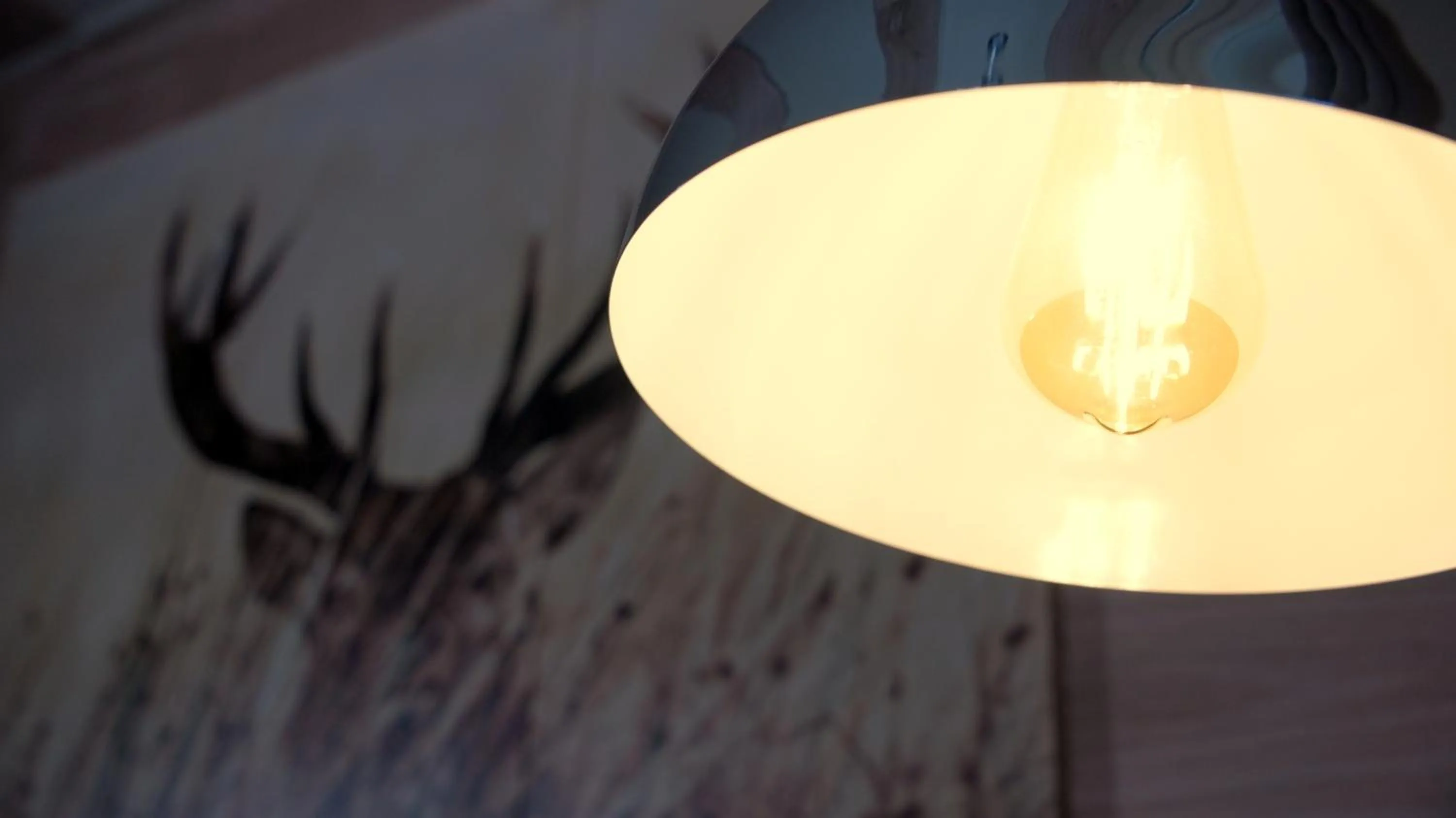 Decorative detail in La Sapinière St Lary Soulan