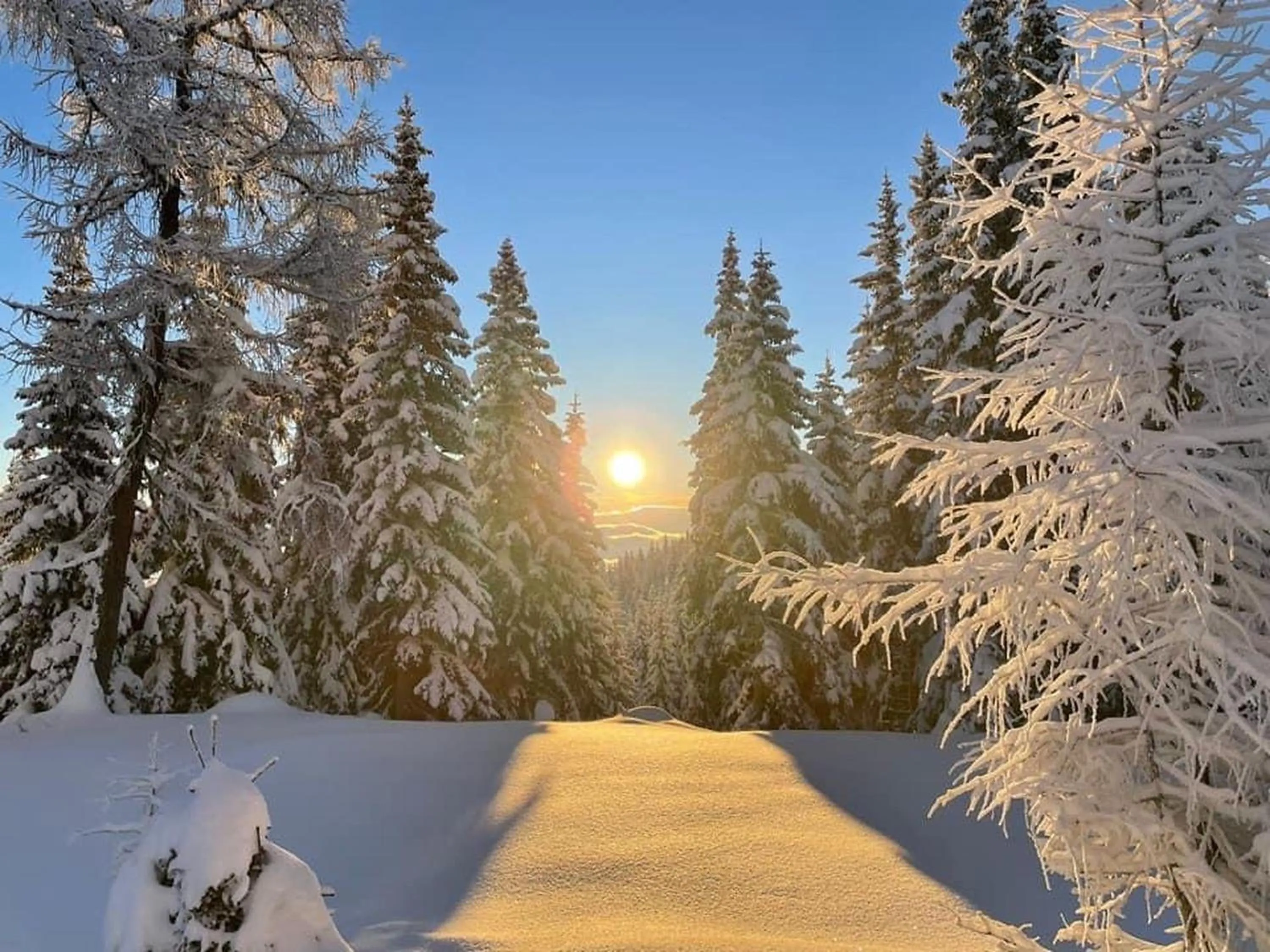 Winter in Pension Lambrecht