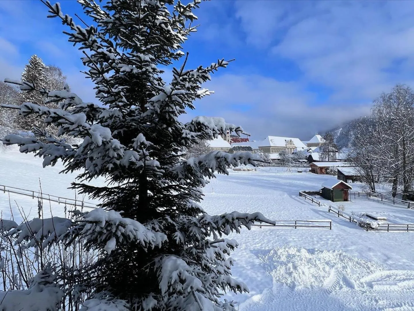 View (from property/room) in Pension Lambrecht