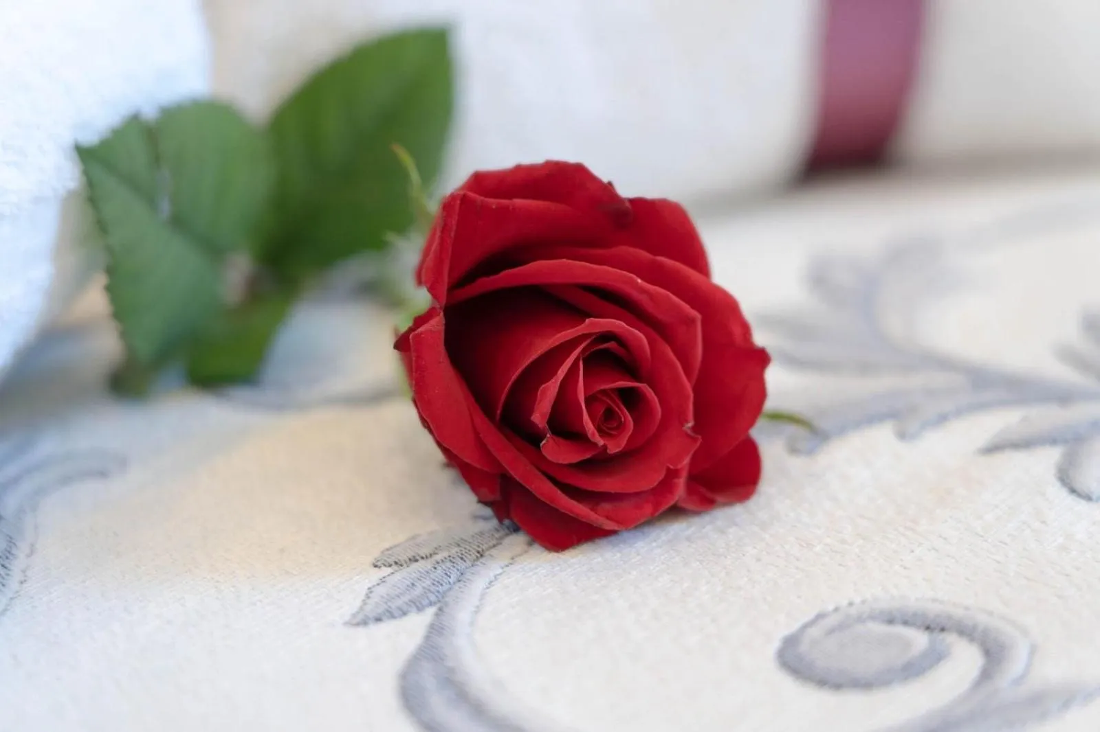 Decorative detail, Bed in ROYAL GARDENS
