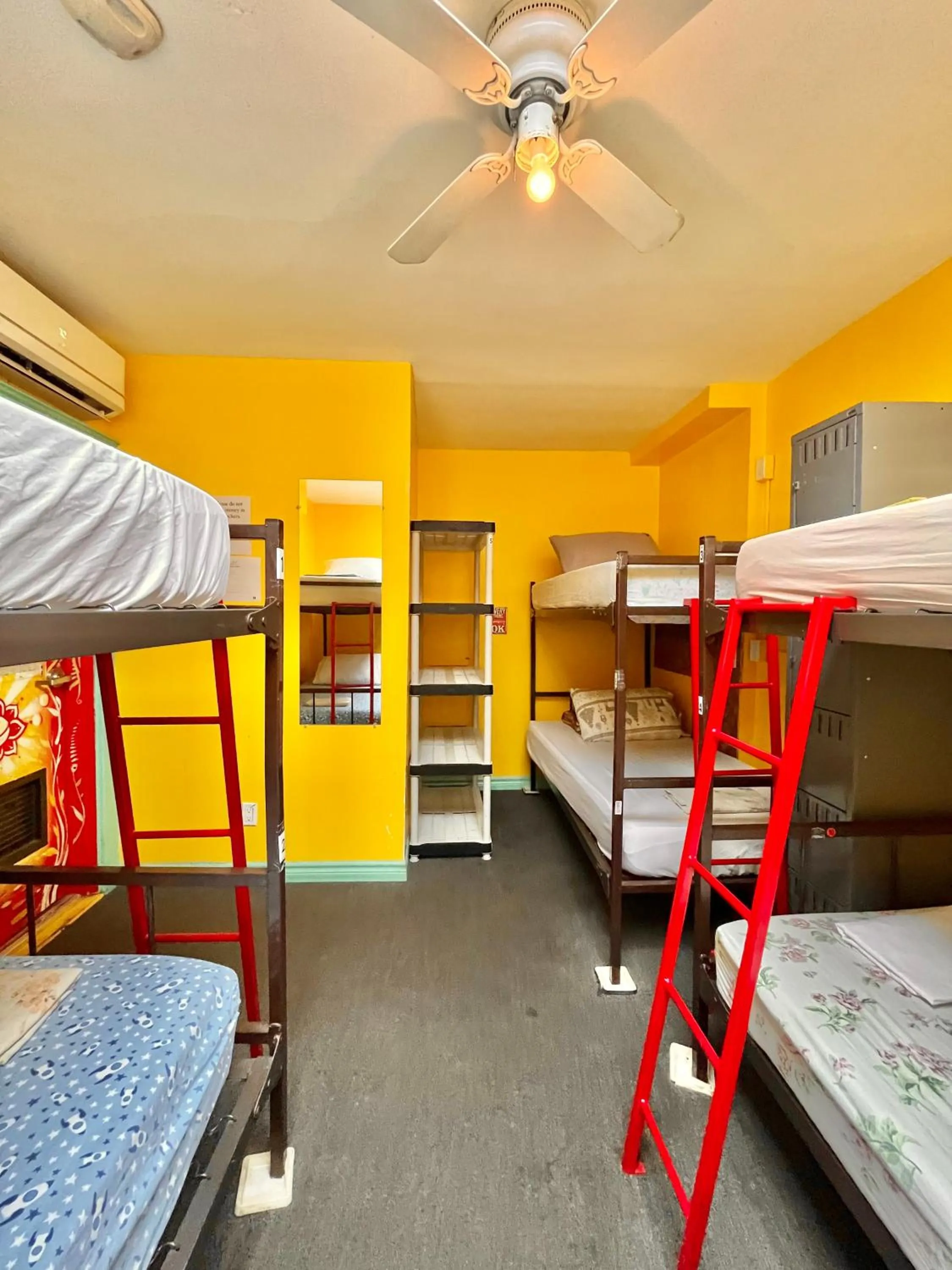 bunk bed, Bed in The Only Backpacker's Inn