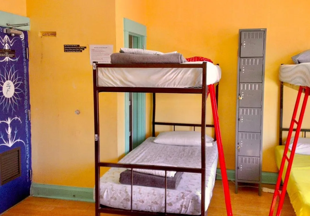 bunk bed, Bed in The Only Backpacker's Inn