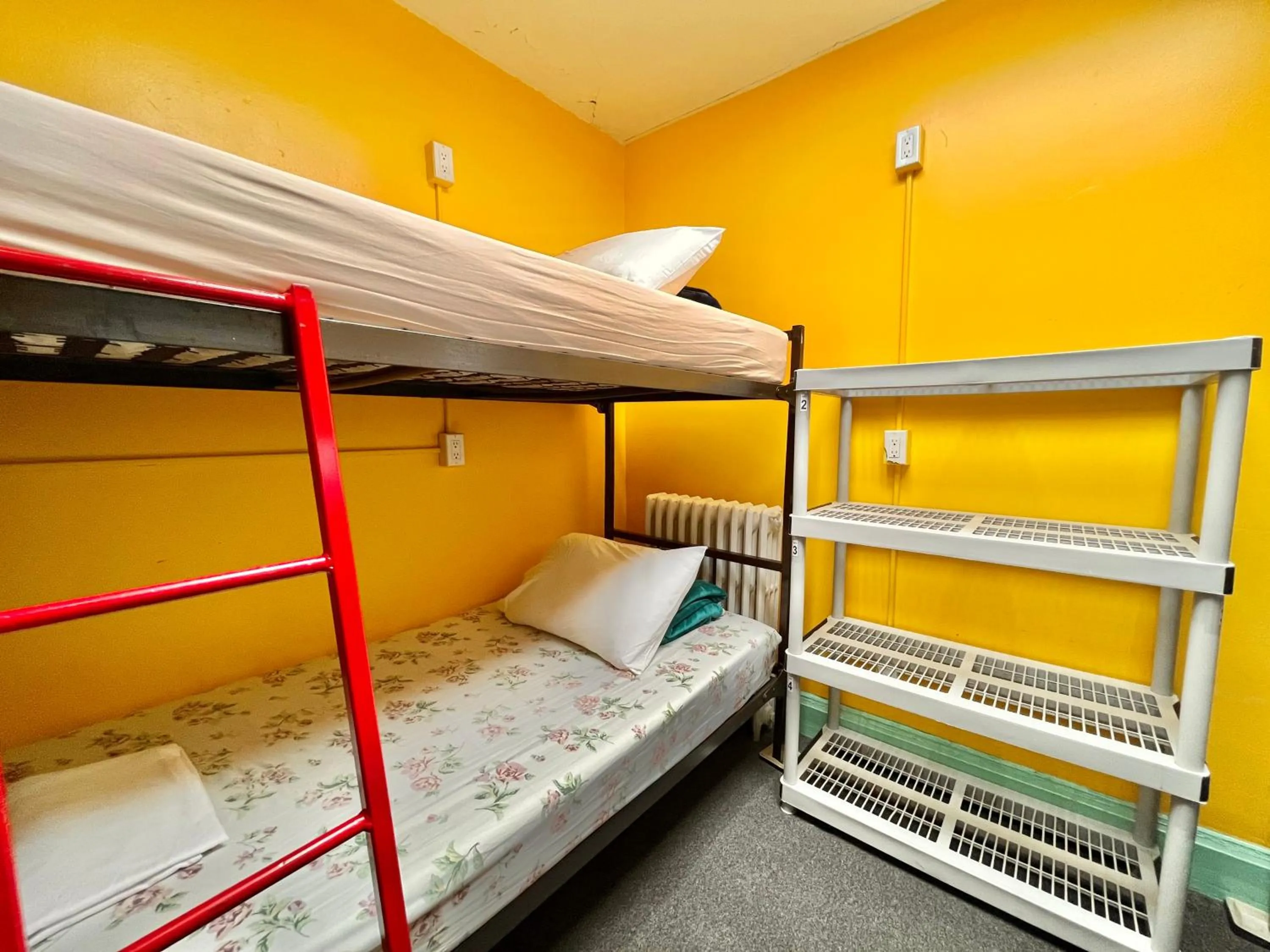 bunk bed, Bed in The Only Backpacker's Inn