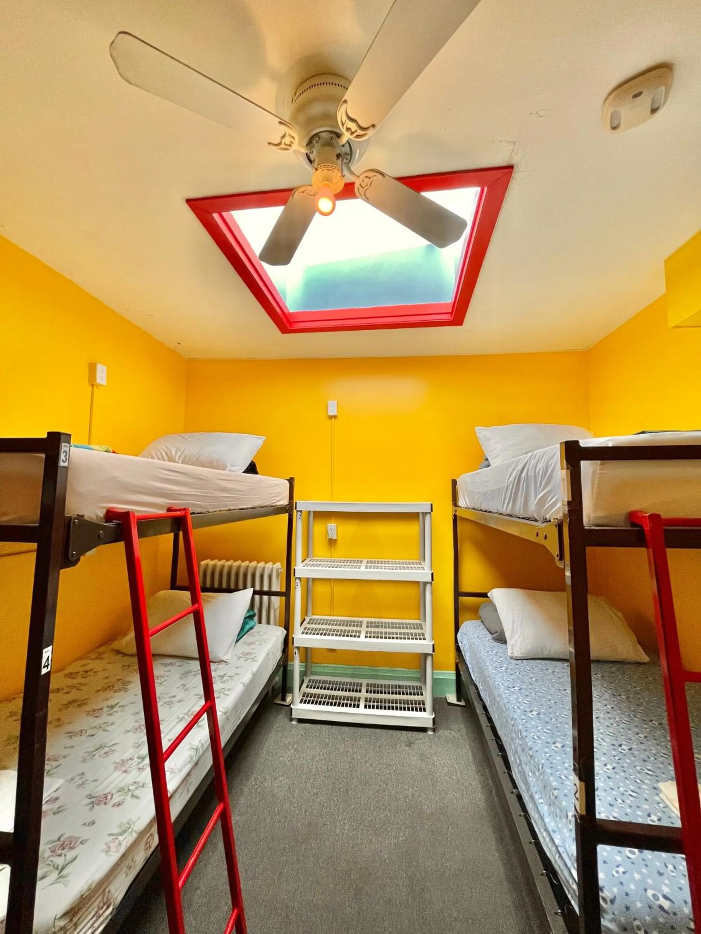 bunk bed, Bed in The Only Backpacker's Inn