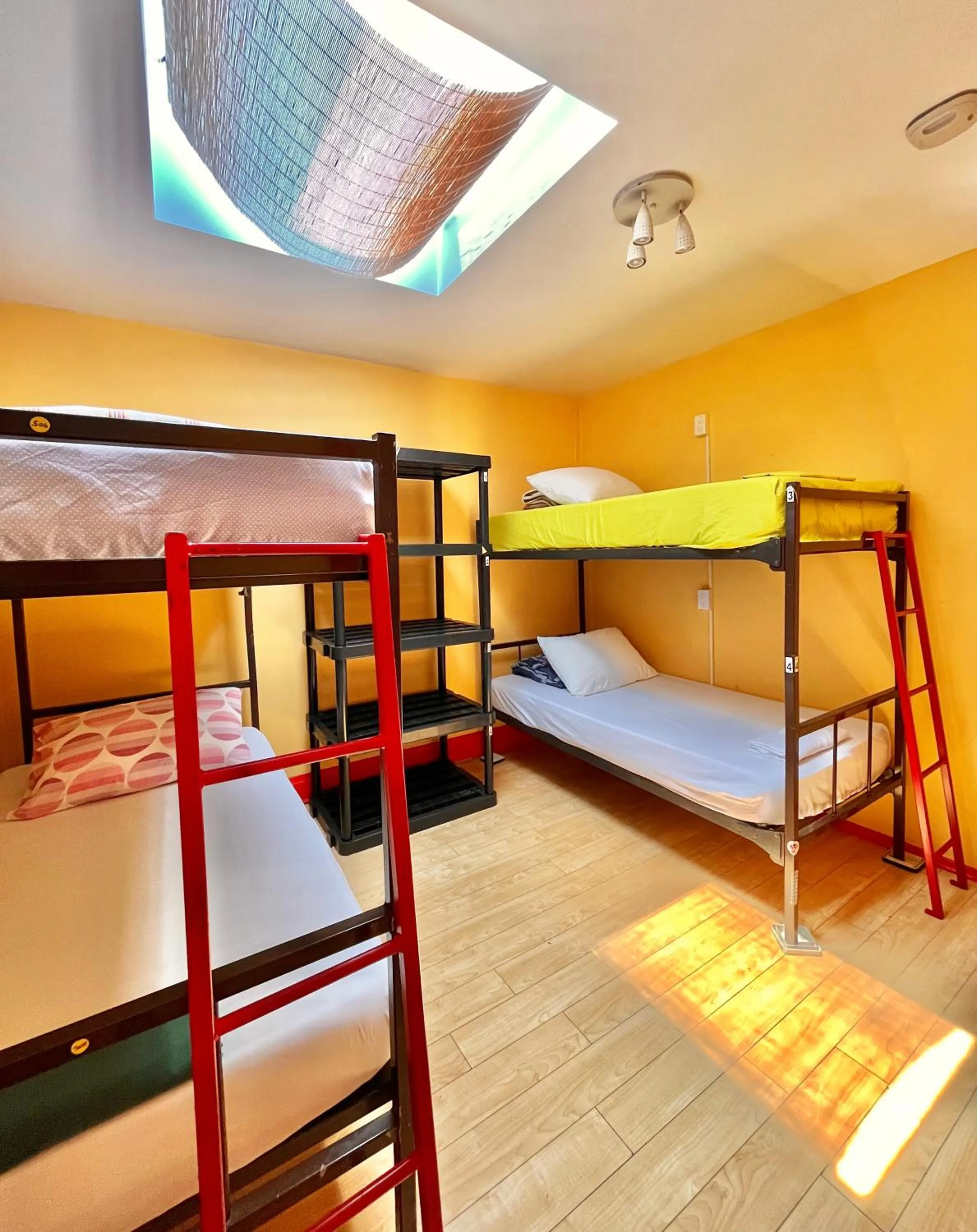 bunk bed, Bed in The Only Backpacker's Inn