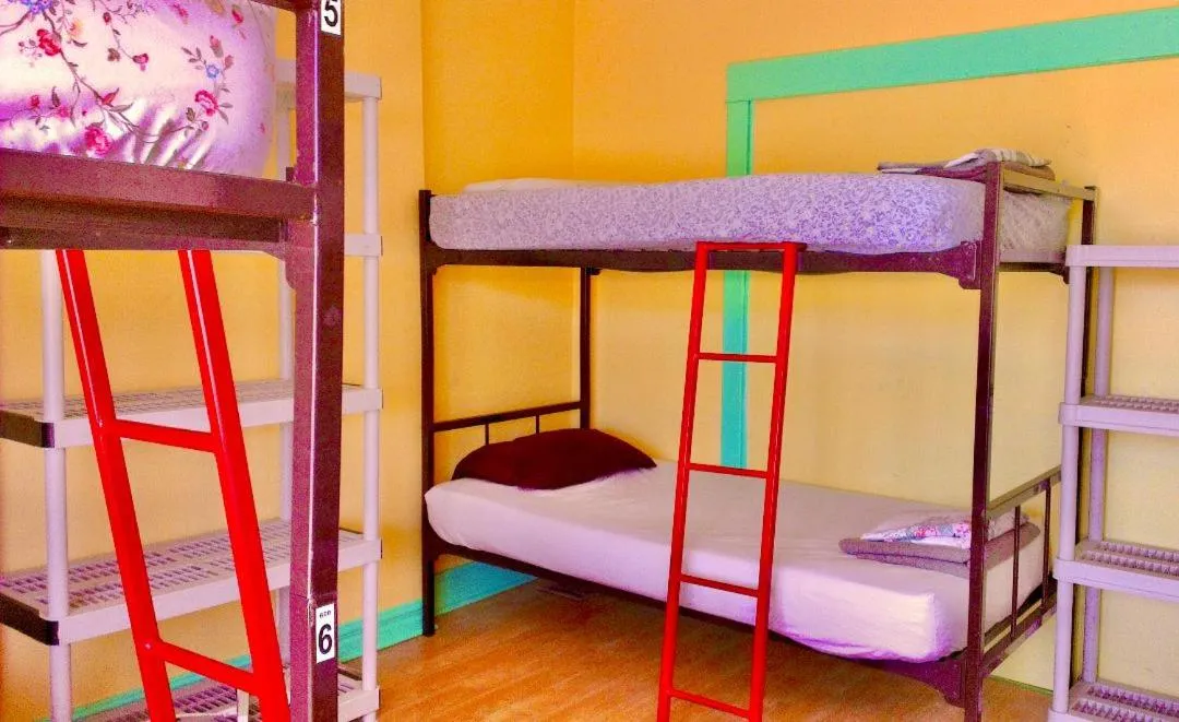 bunk bed, Bed in The Only Backpacker's Inn