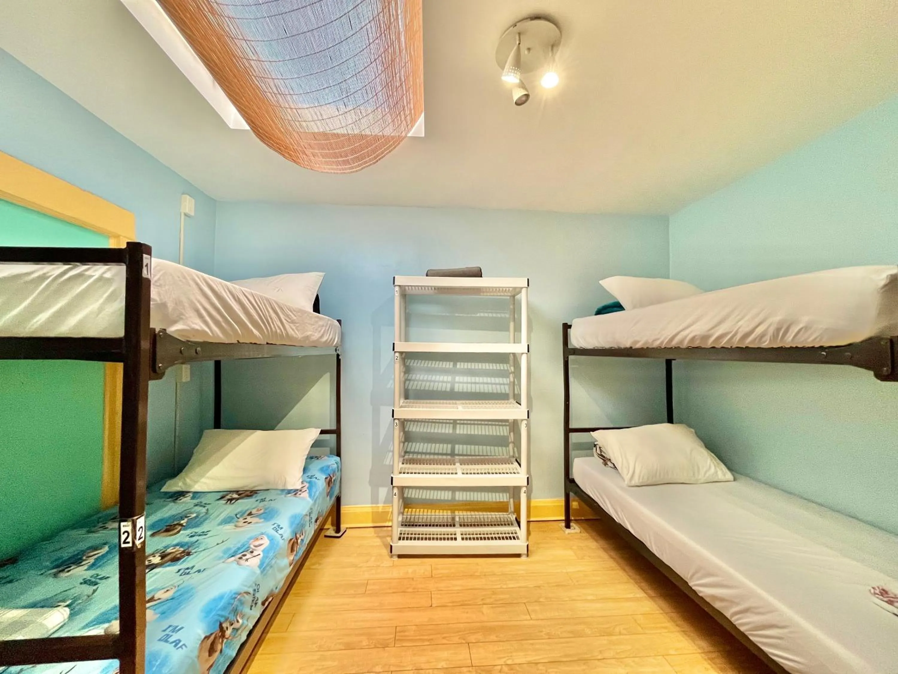 bunk bed, Bed in The Only Backpacker's Inn