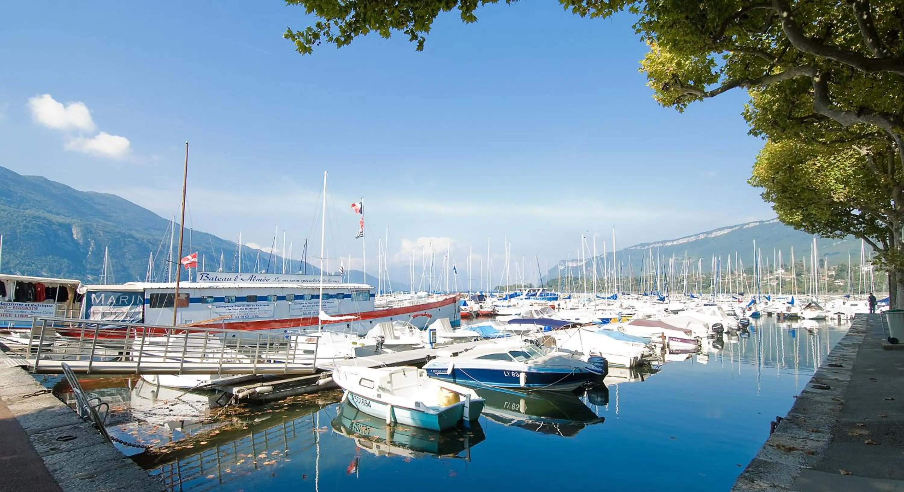 Area and facilities in Hôtel L'Iroko The Originals City