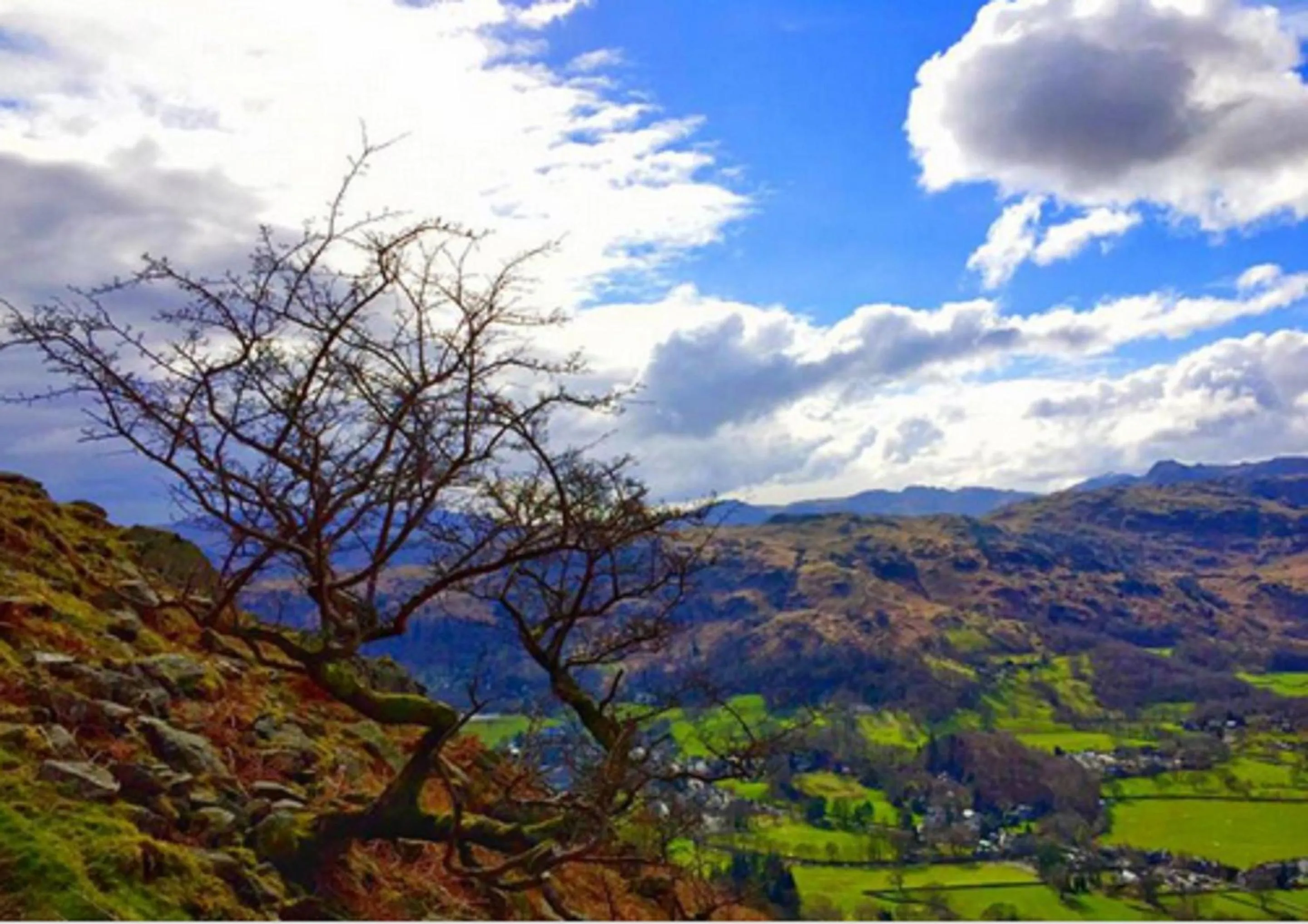 View (from property/room) in Augill Castle