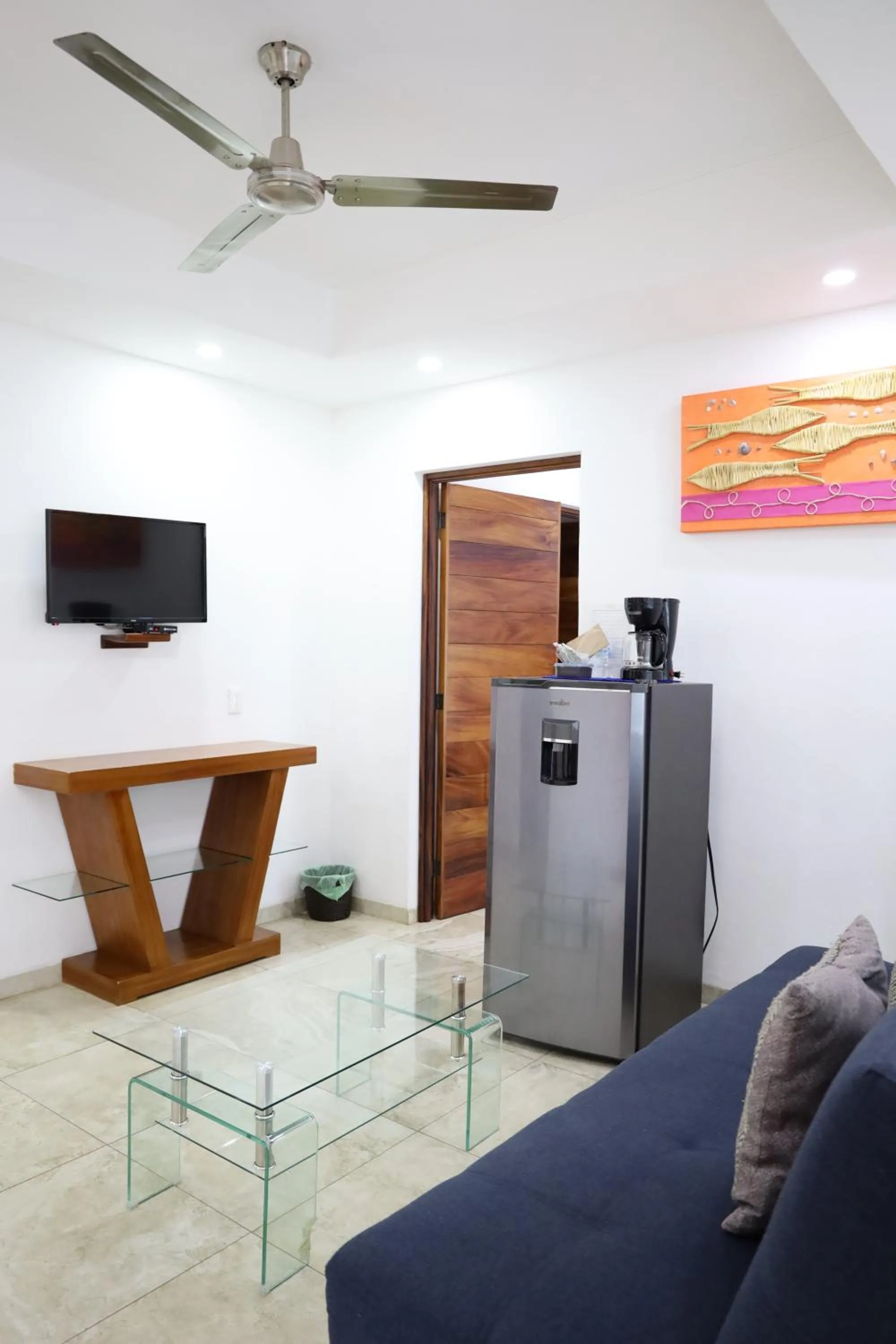 TV and multimedia in Solez Zihuatanejo