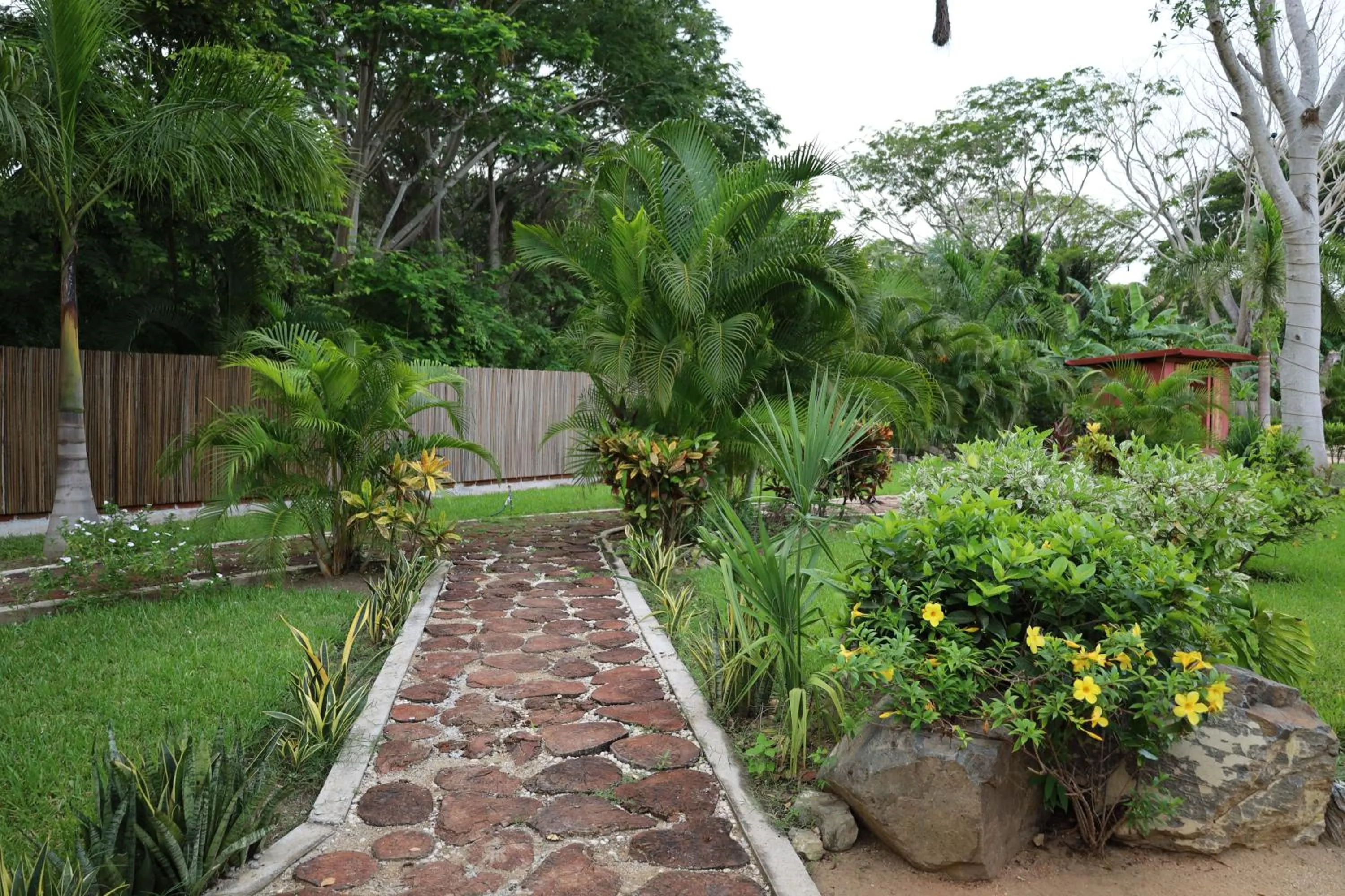 Garden in Solez Zihuatanejo