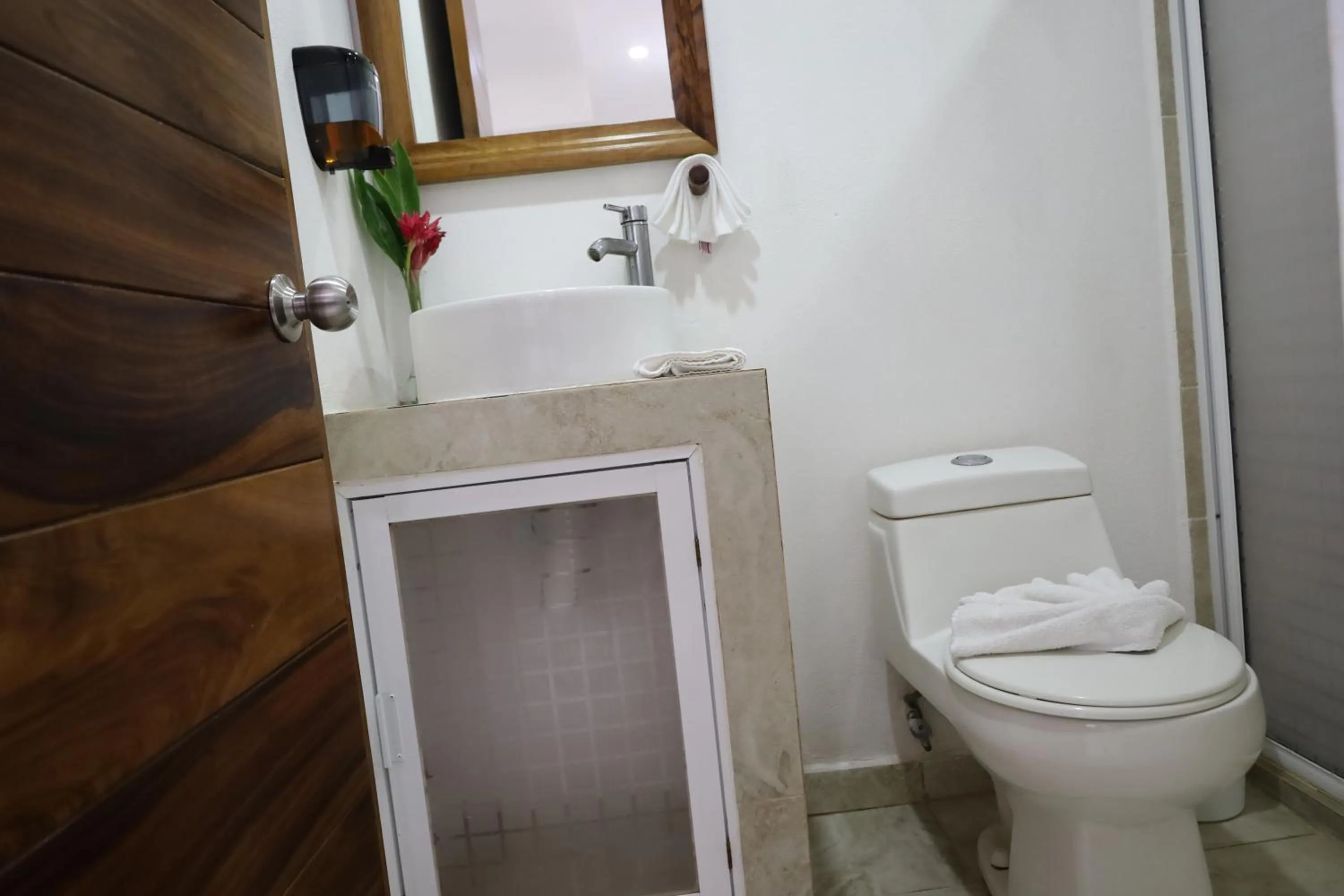 Bathroom in Solez Zihuatanejo