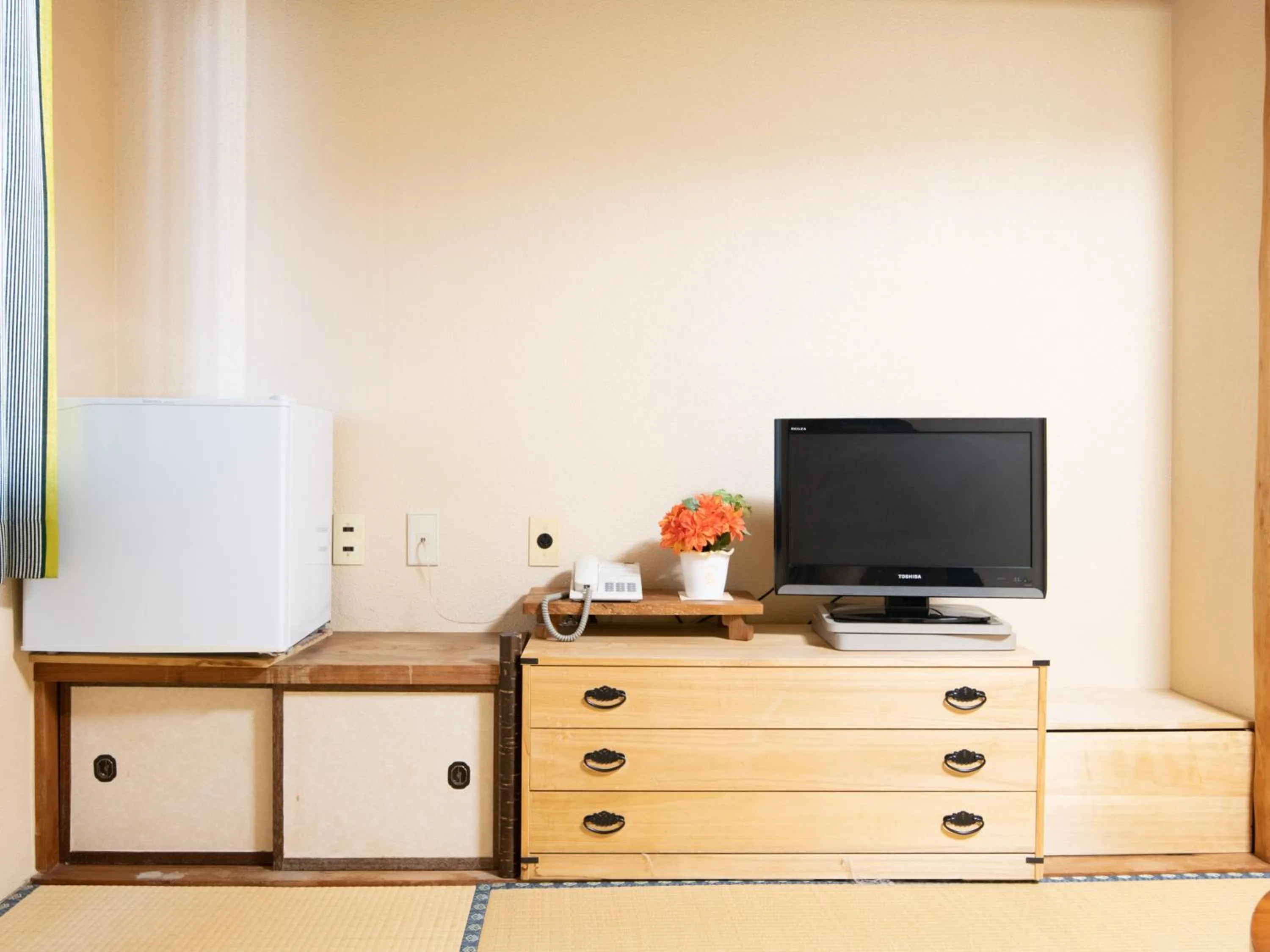 TV and multimedia in Tabist Chunichi Business Hotel Shima