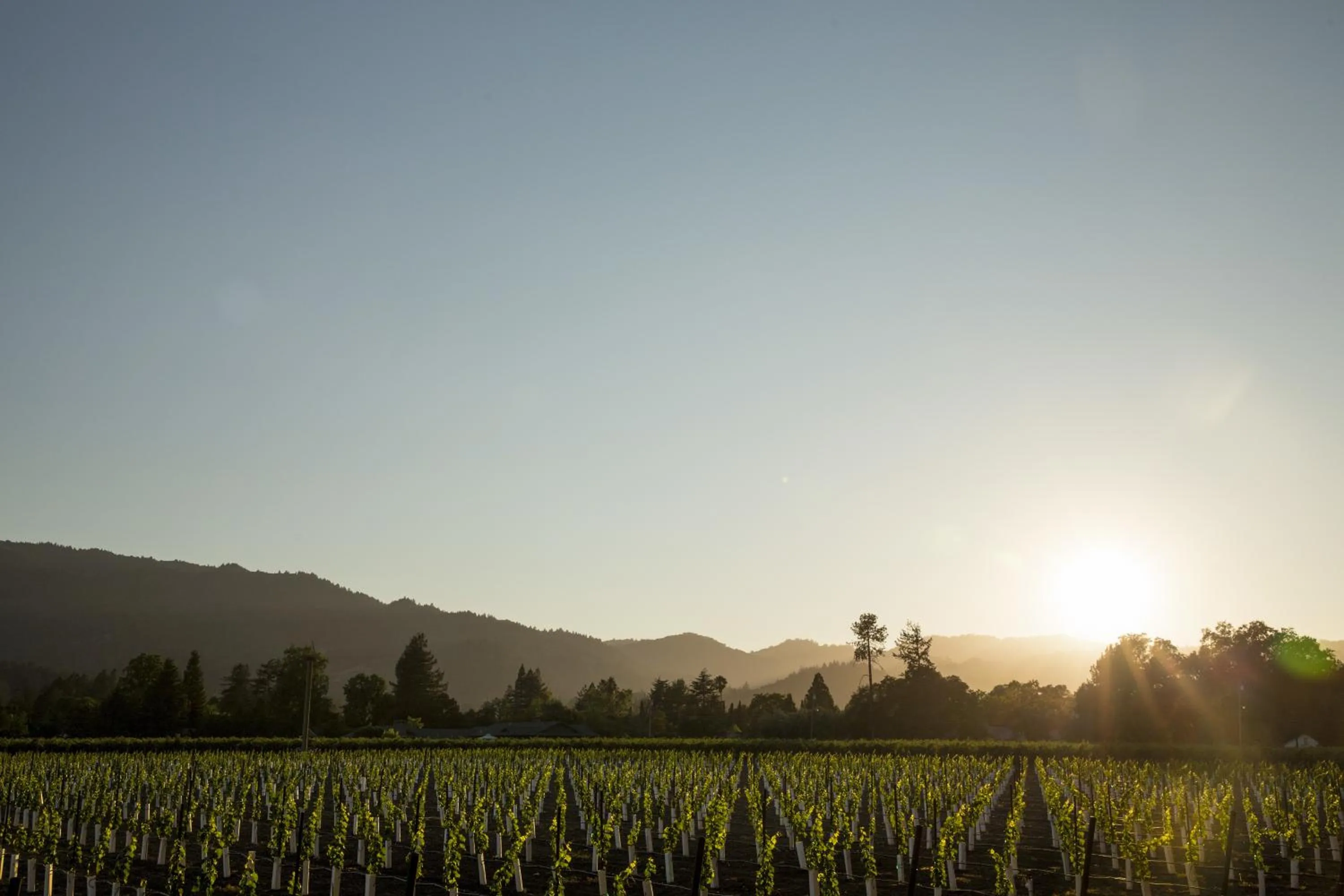 Natural landscape in Harvest Inn