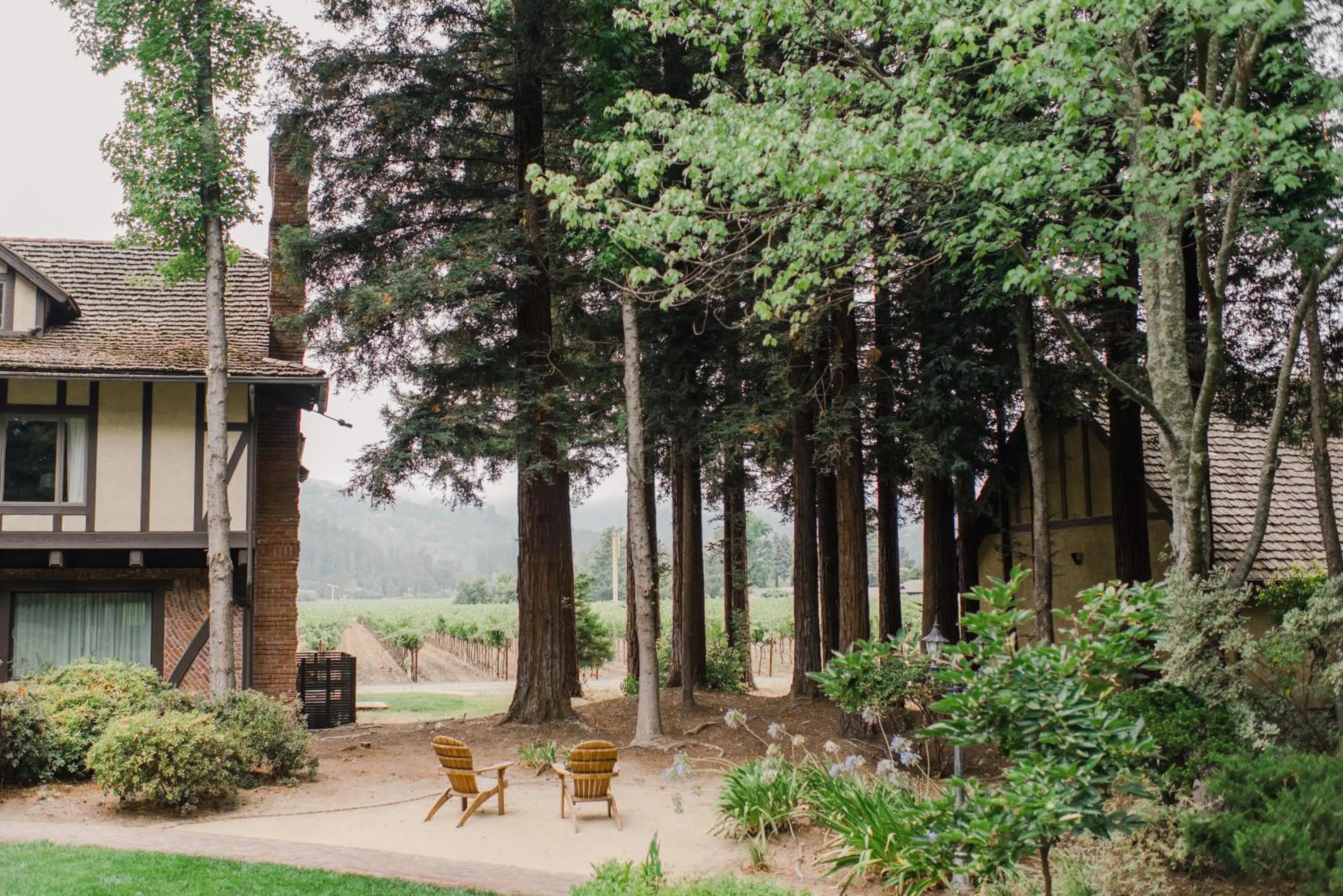 View (from property/room) in Harvest Inn