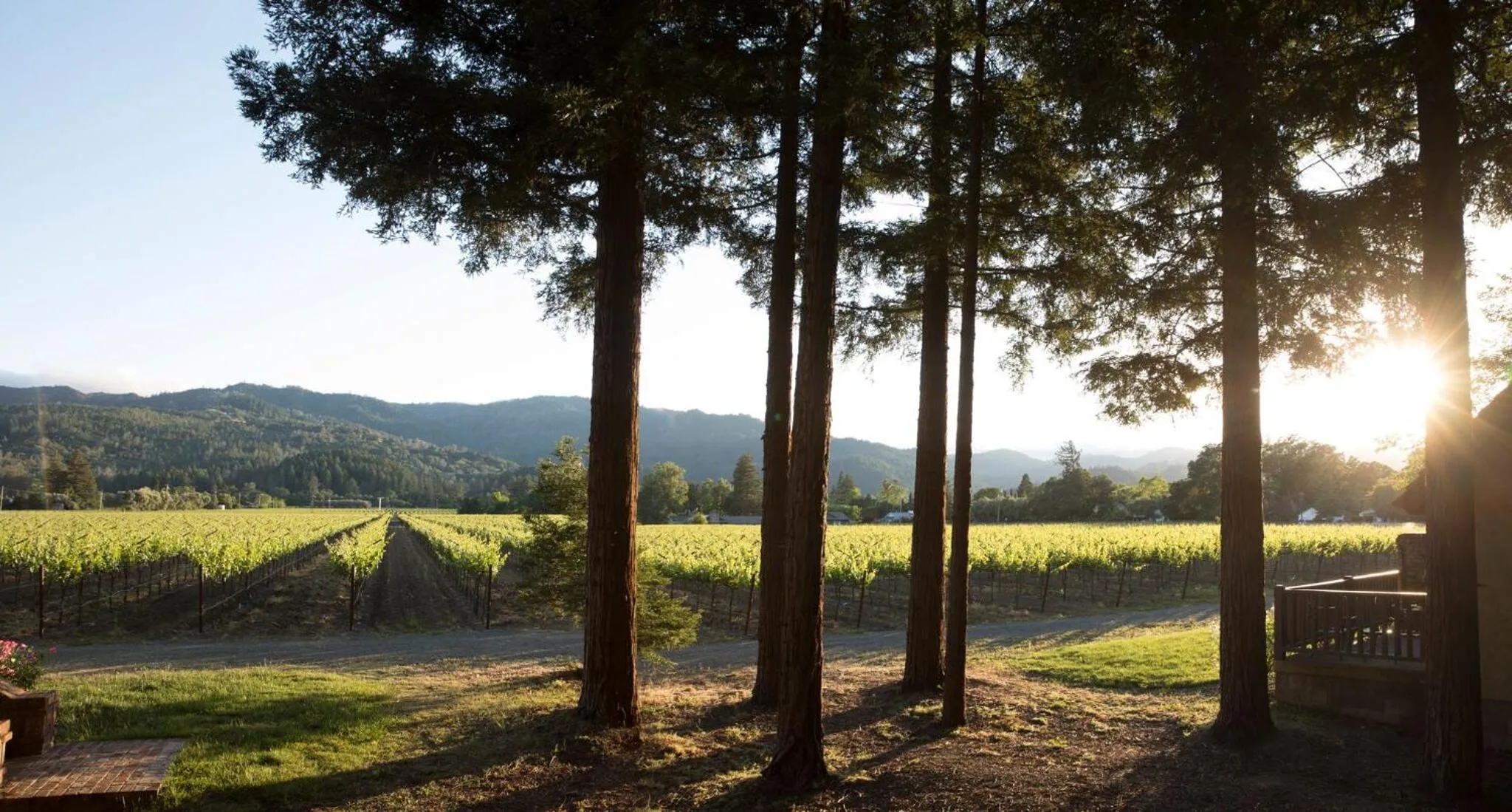 View (from property/room) in Harvest Inn