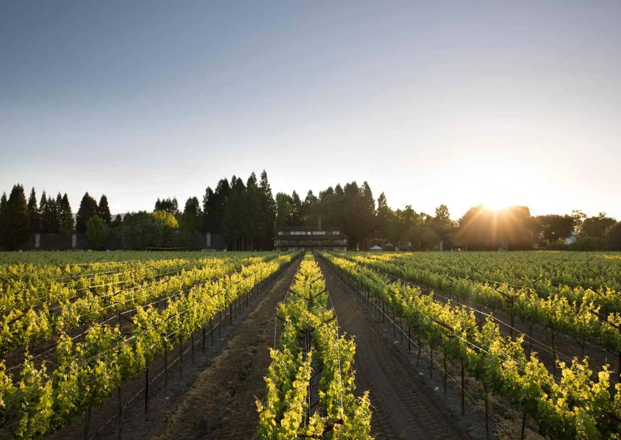 Sunrise in Harvest Inn