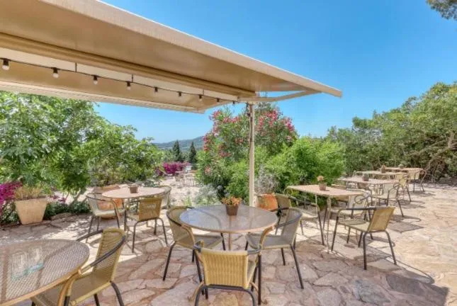 Garden in Hôtel Paradis