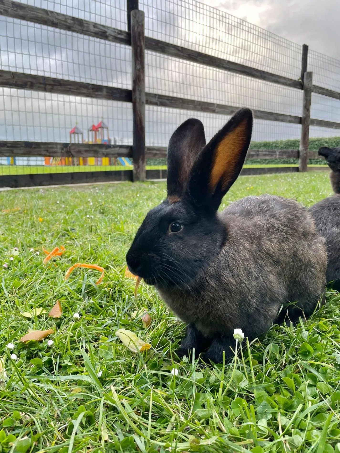 Garden in Ferme de la Rançonnière - Hôtel & Restaurant