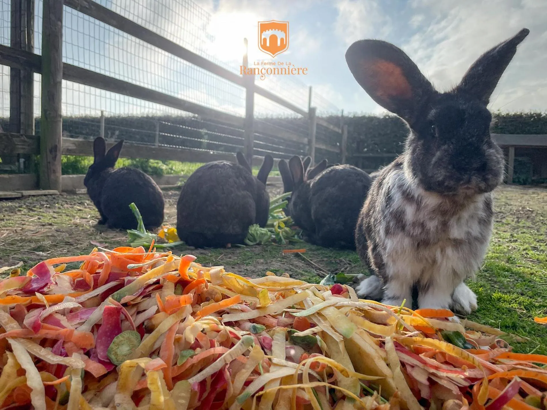 Children play ground in Ferme de la Rançonnière - Hôtel & Restaurant