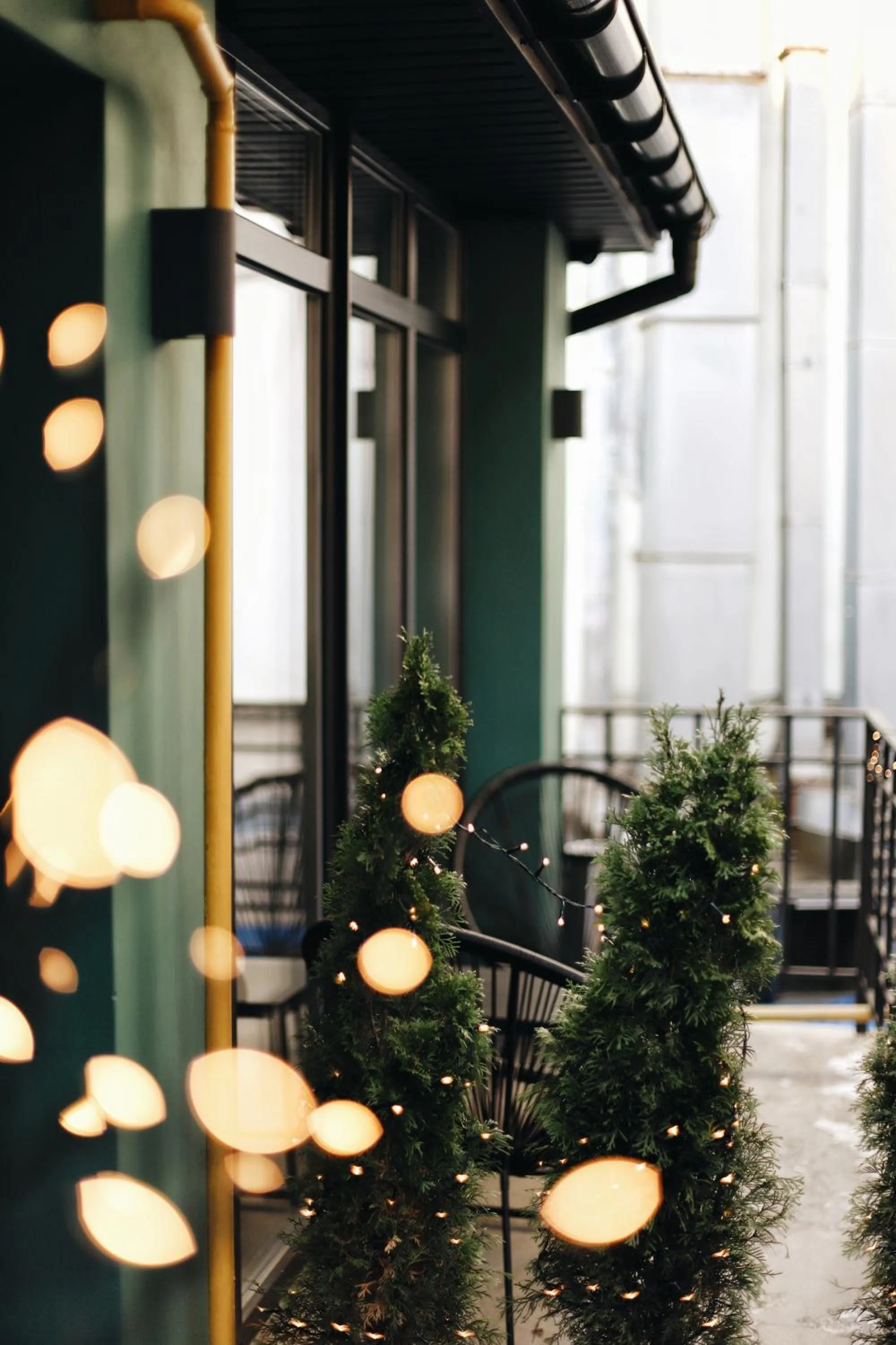 Patio in Yard Hostel & Coffee