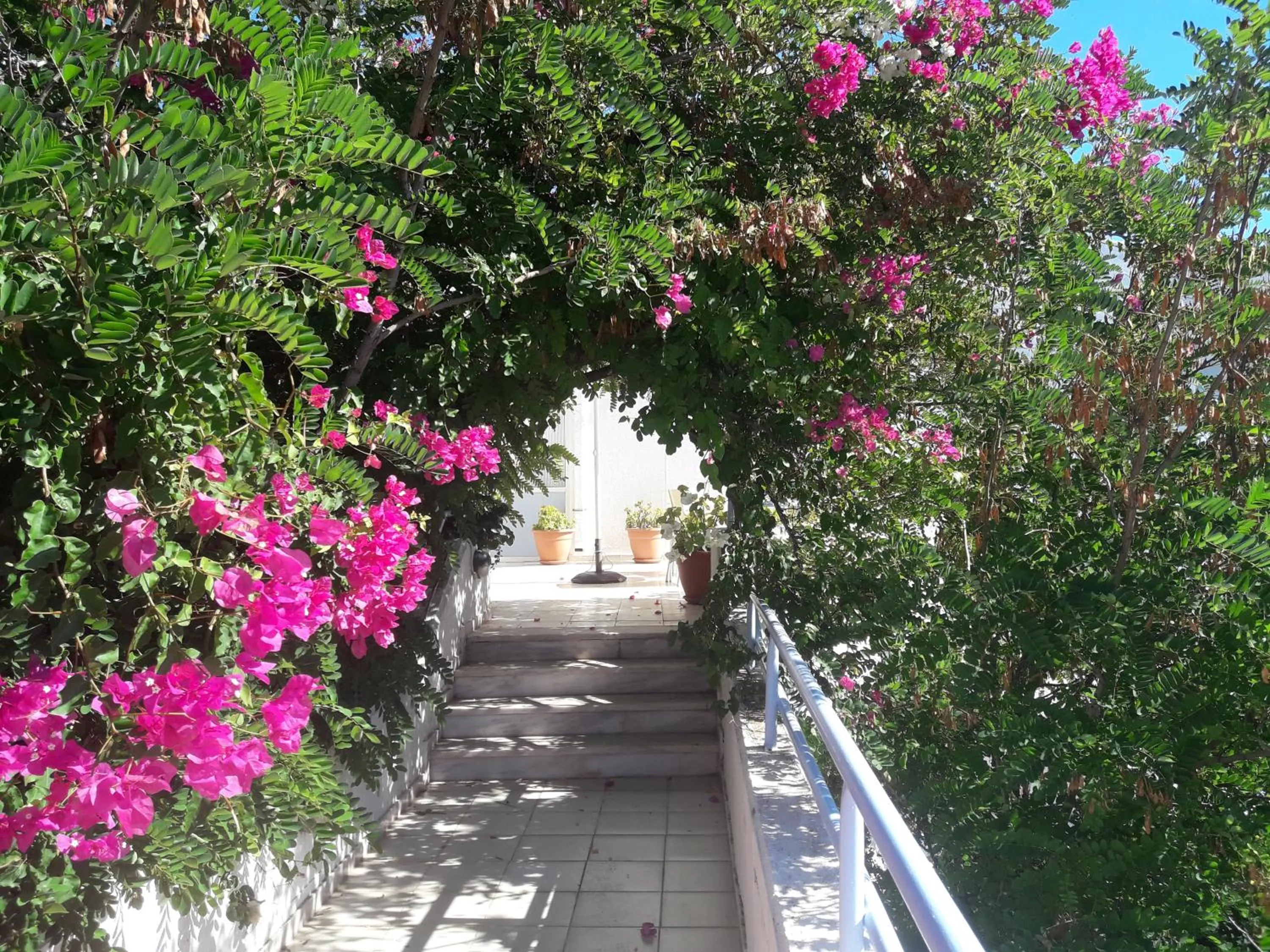 Seafront Studios and Apartments