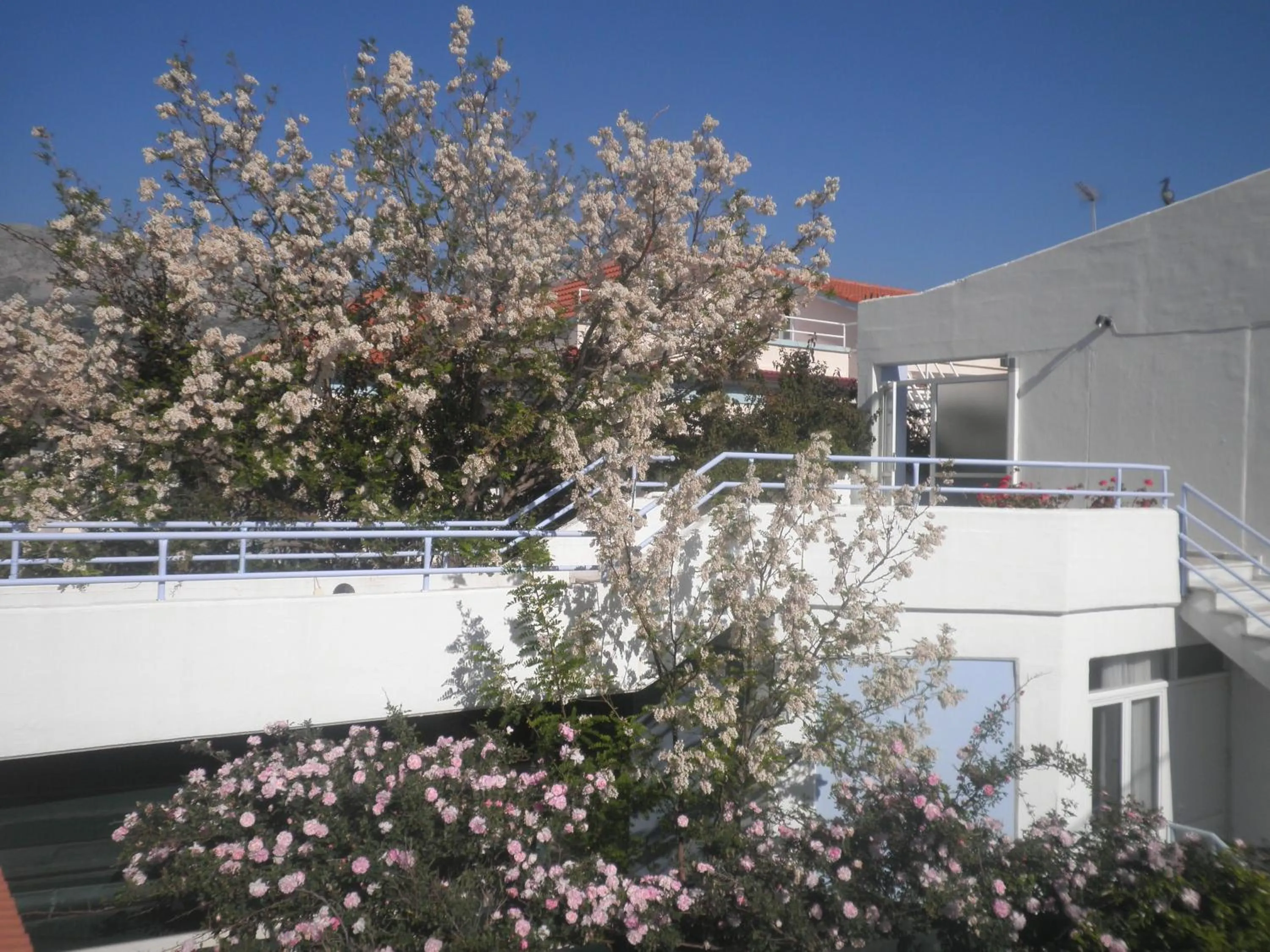 Seafront Studios and Apartments