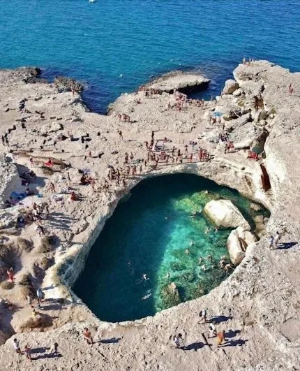 Swimming pool in Oasis Park Hotel