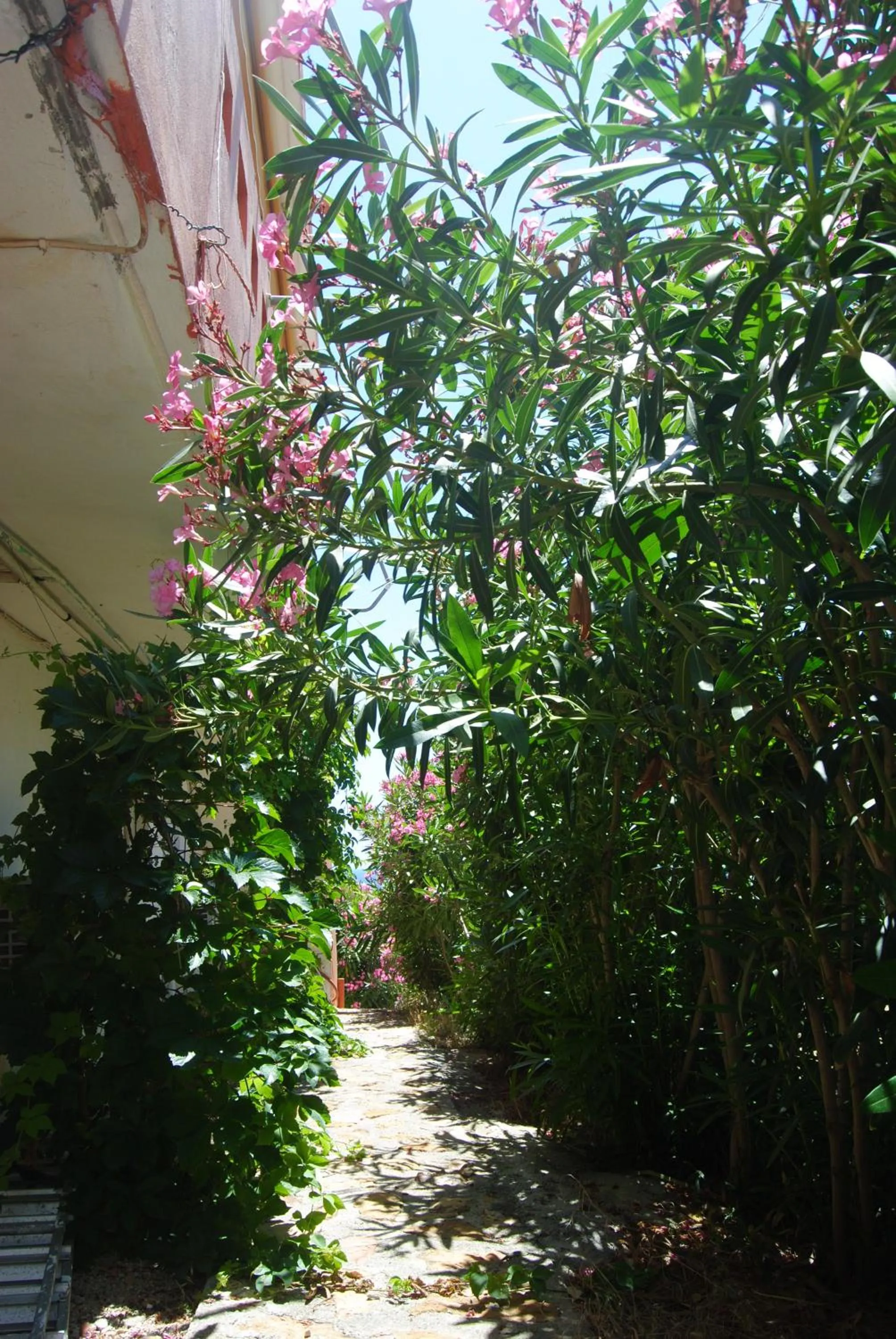 Property building in Maria Rooms