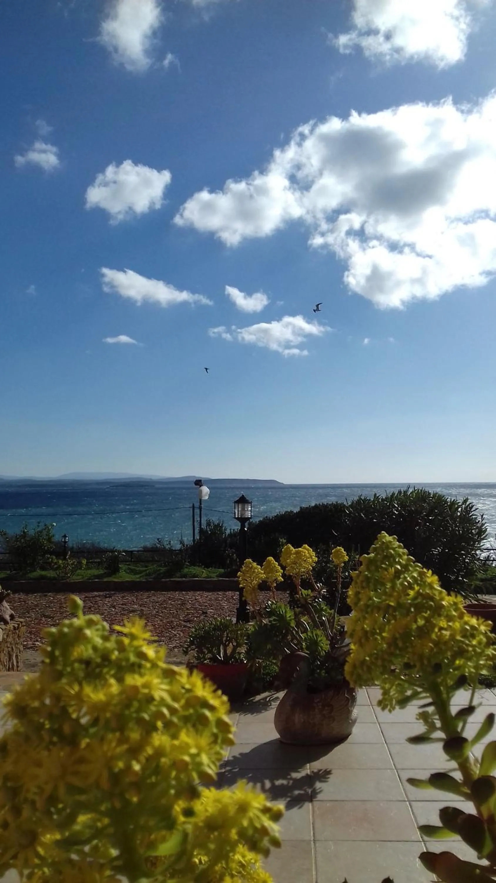 Garden in Maria Rooms