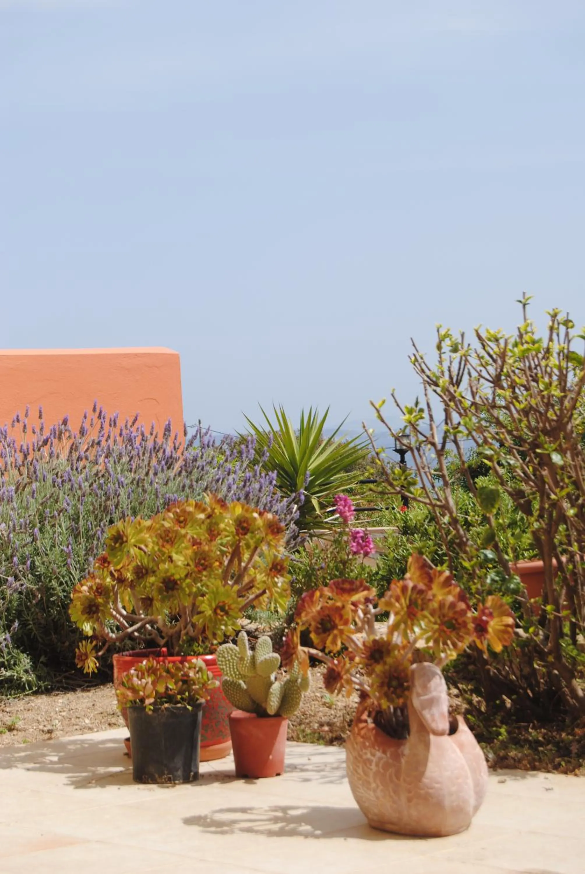 Garden in Maria Rooms