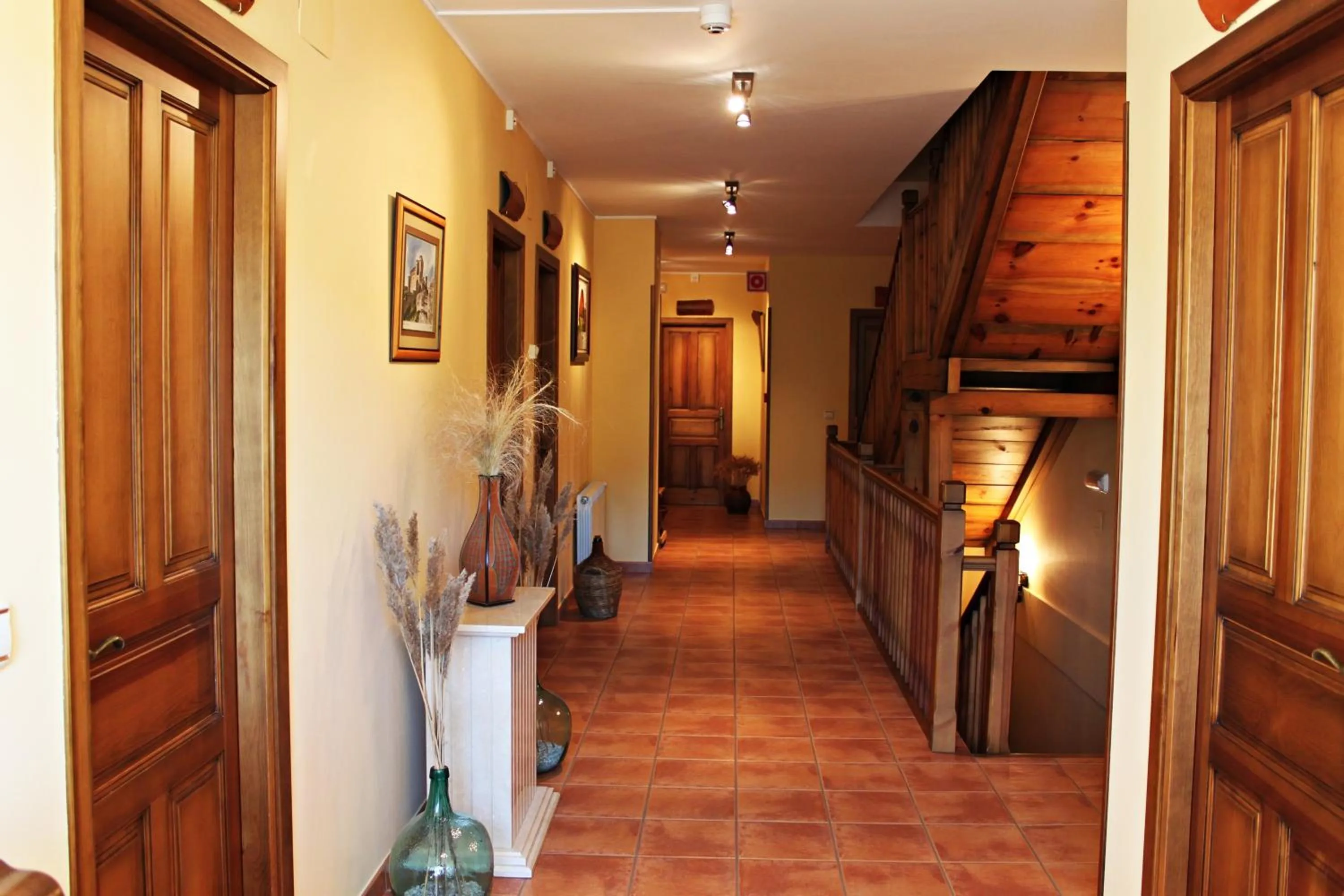 Area and facilities in Tirontillana