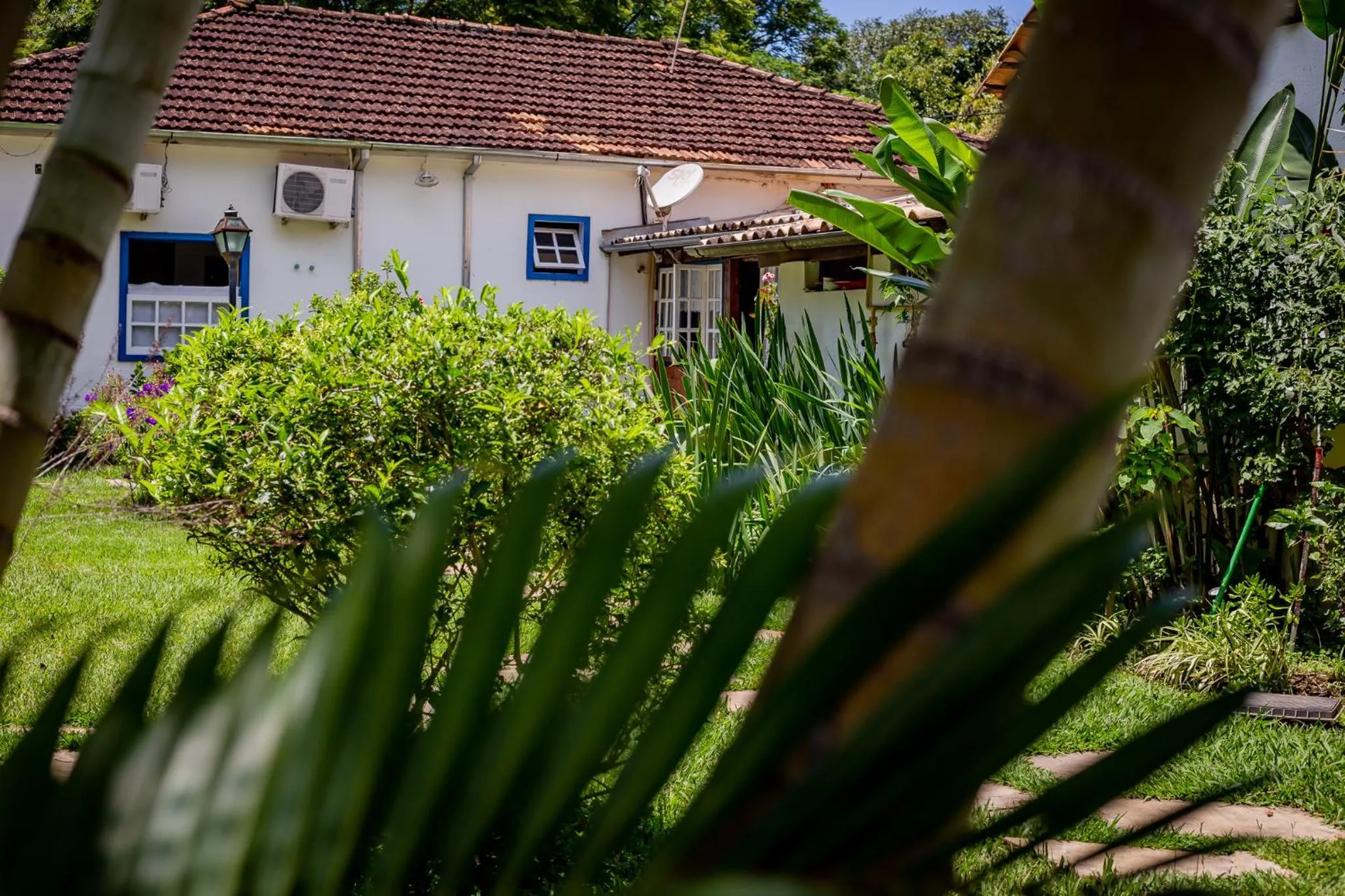 Garden in Casa de Violeta Pousada